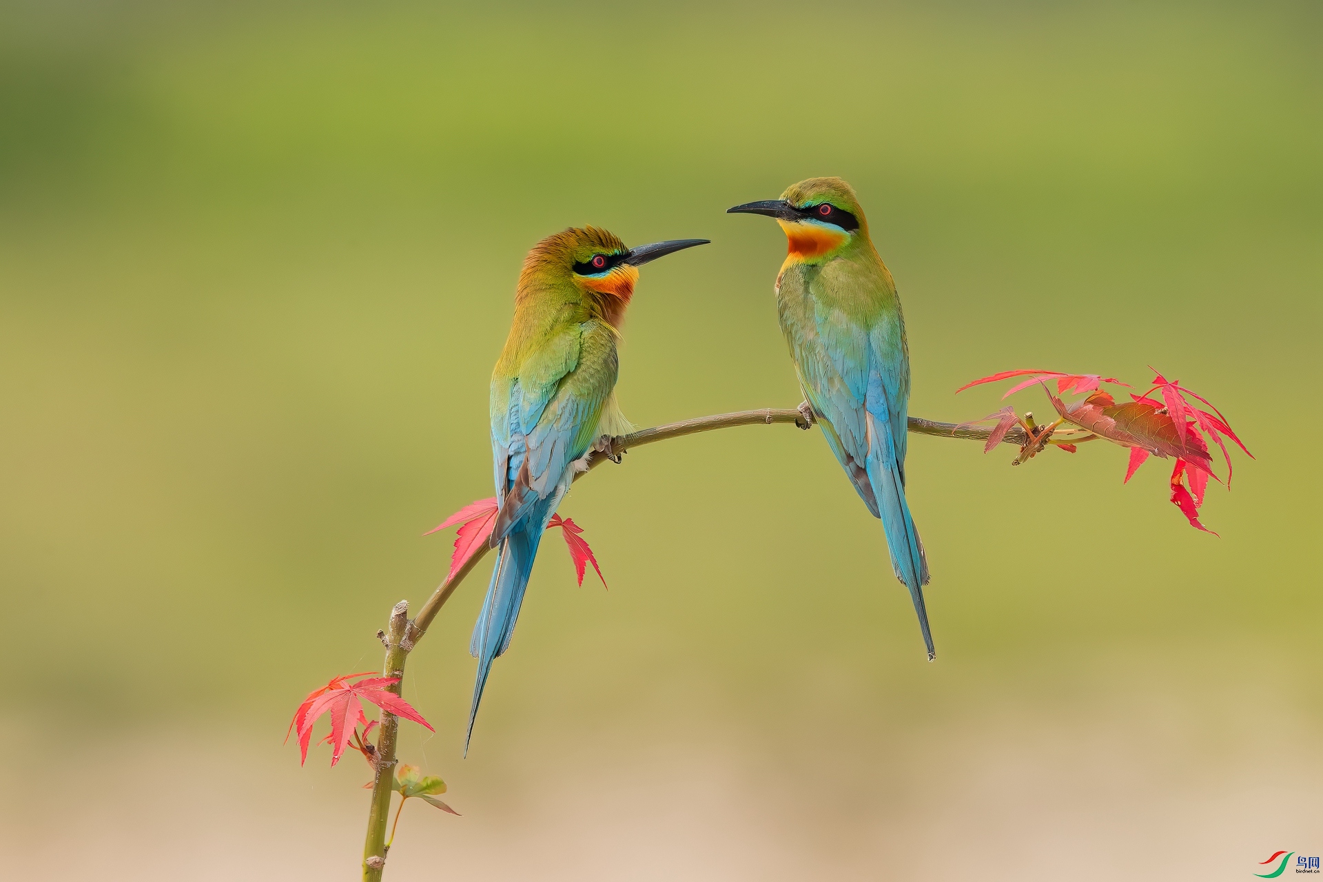 B86I7384 _����.jpg