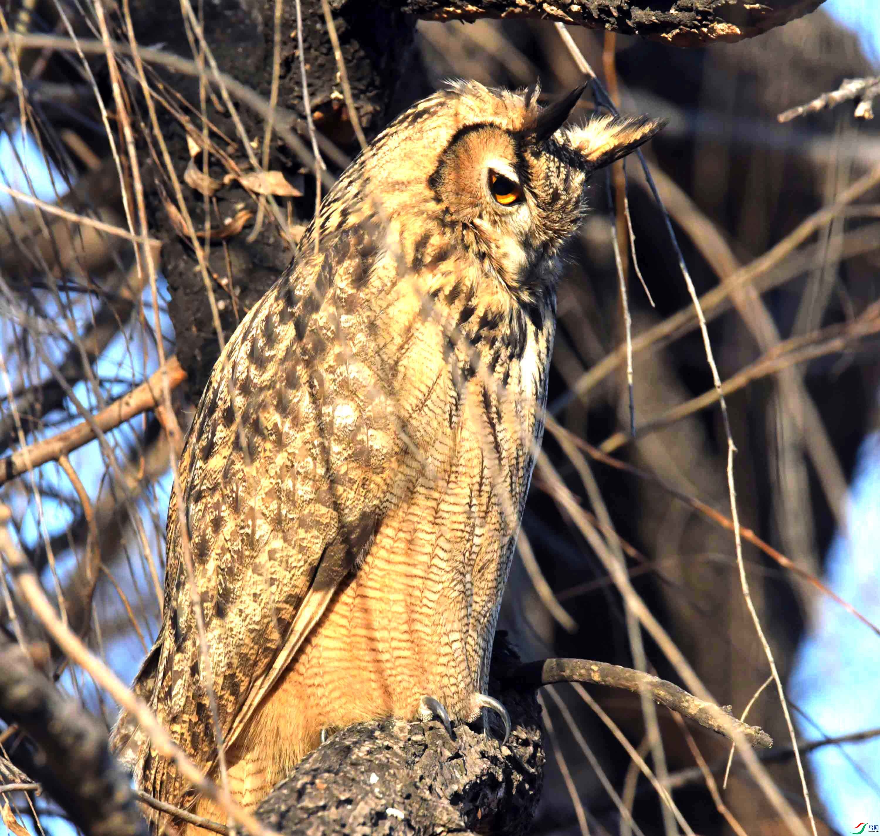 DSC_6501.JPG