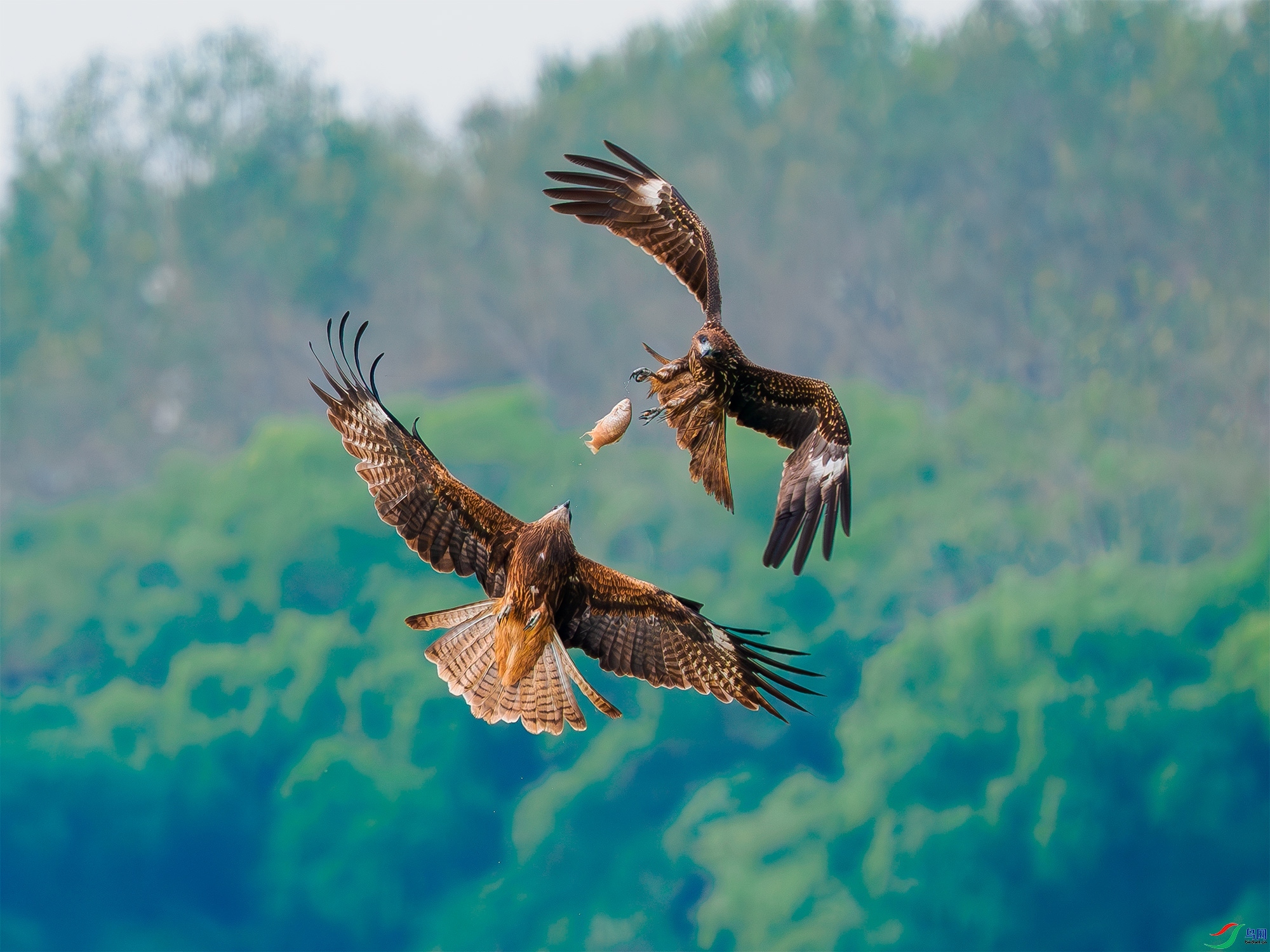 20231113��������ʳ������һ�� �������.jpg