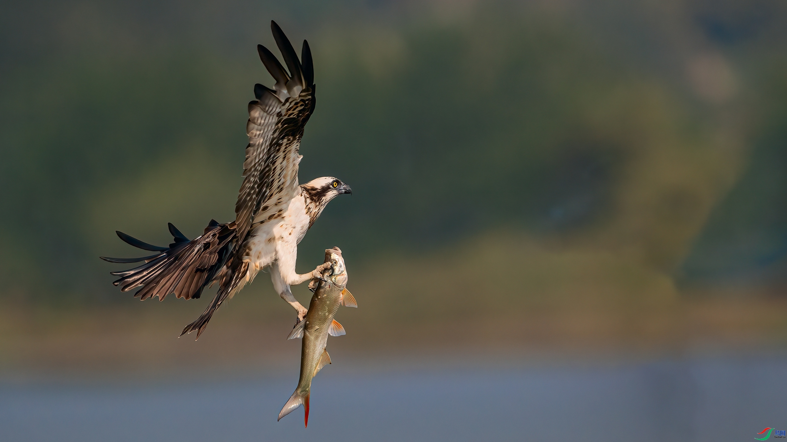 20231118��ս��Ʒ��Ļ������ ÿ�ռ���.jpg