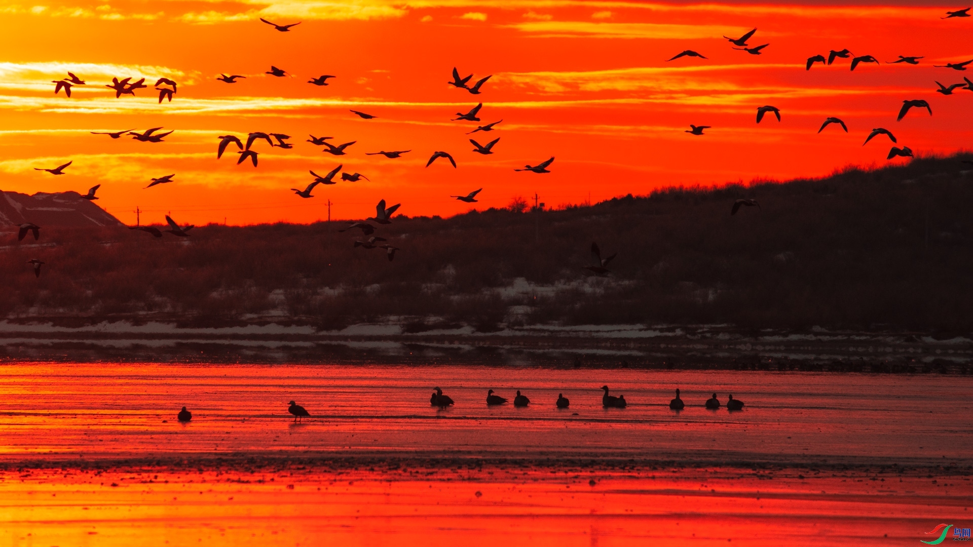 20231122����Ӱ��赡�ʫ������ �������.jpg