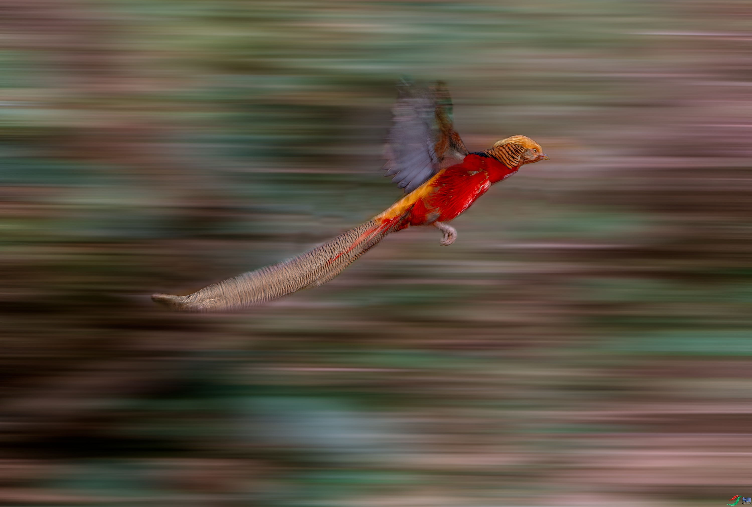 20231124�������ɡ���Ϳ�ֺ�Ϳ �������.jpg