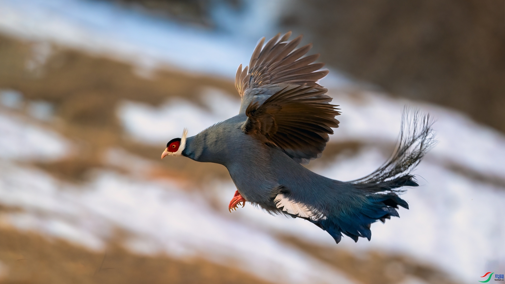 20231130������������Խ�� �������.jpg