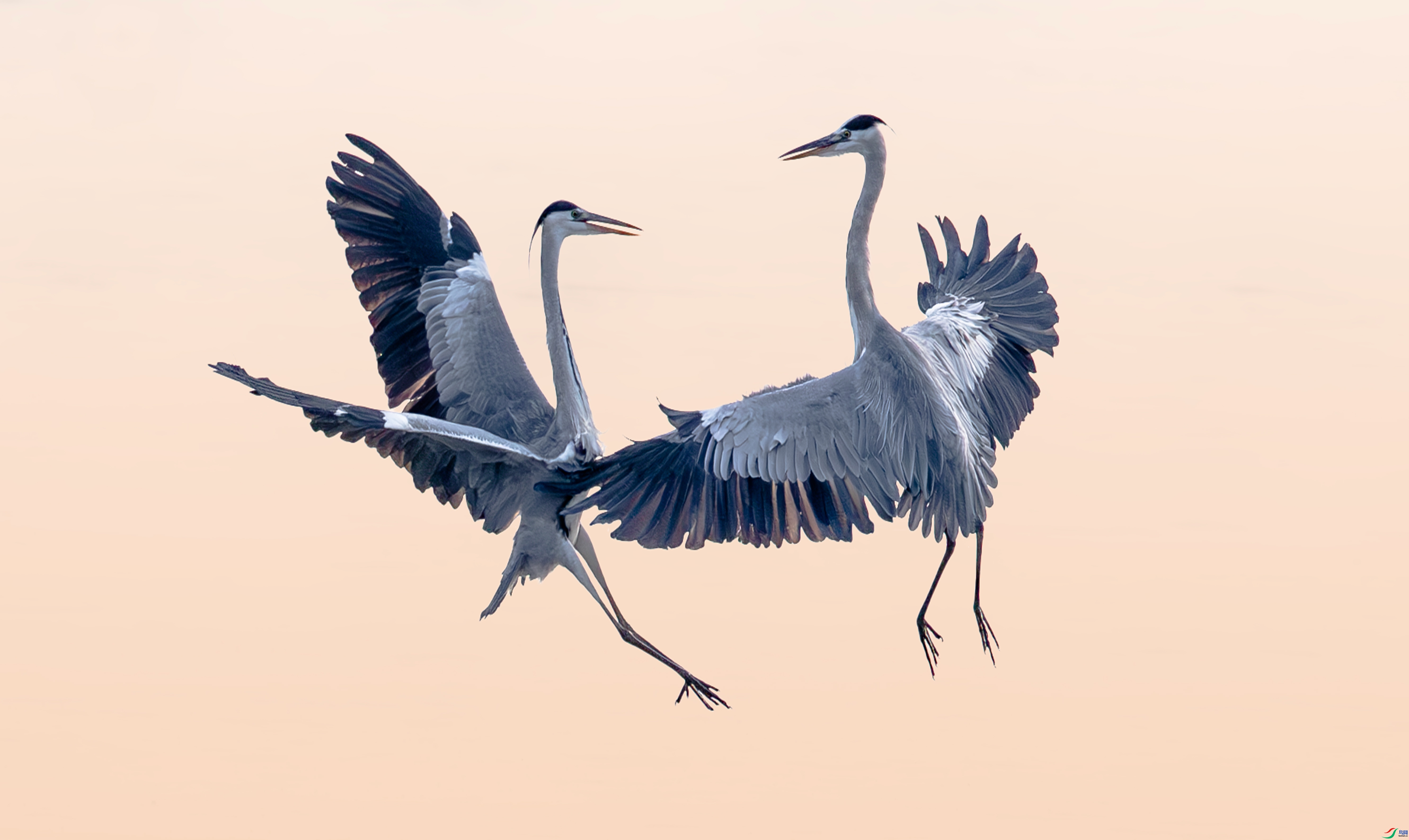 20231205���������ء����� ��������.jpg