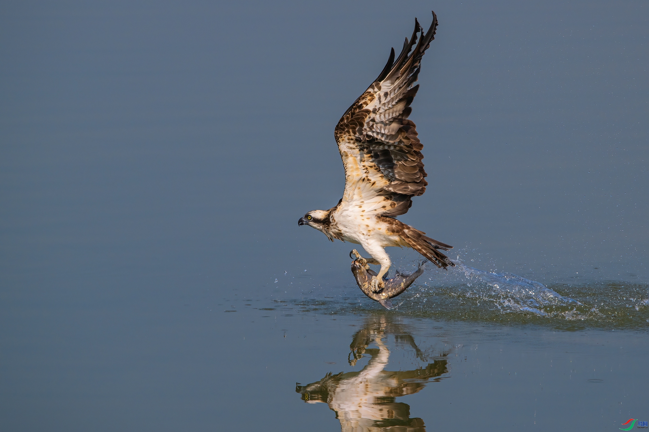 20231206����������͡�Ļ������ ��������.jpg