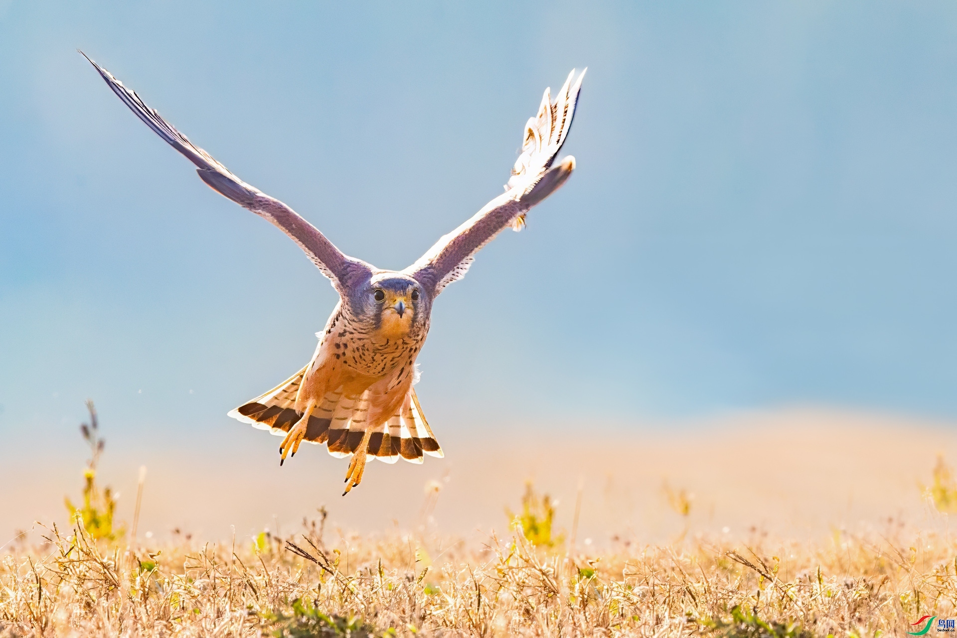 20231206��չ�����߷ɡ���ɽ�ϲ� �������.jpg