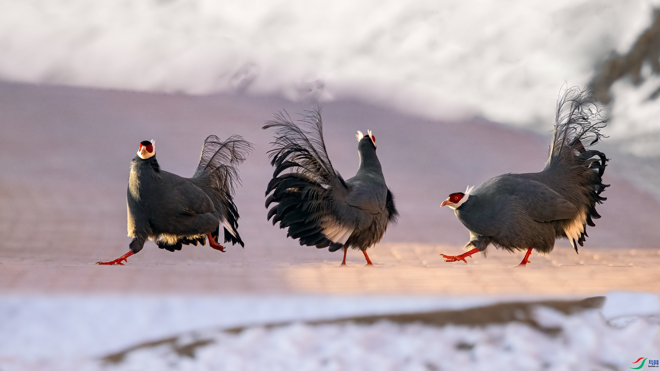 20231210�����ֵ���������Ļ������ ��������.jpg