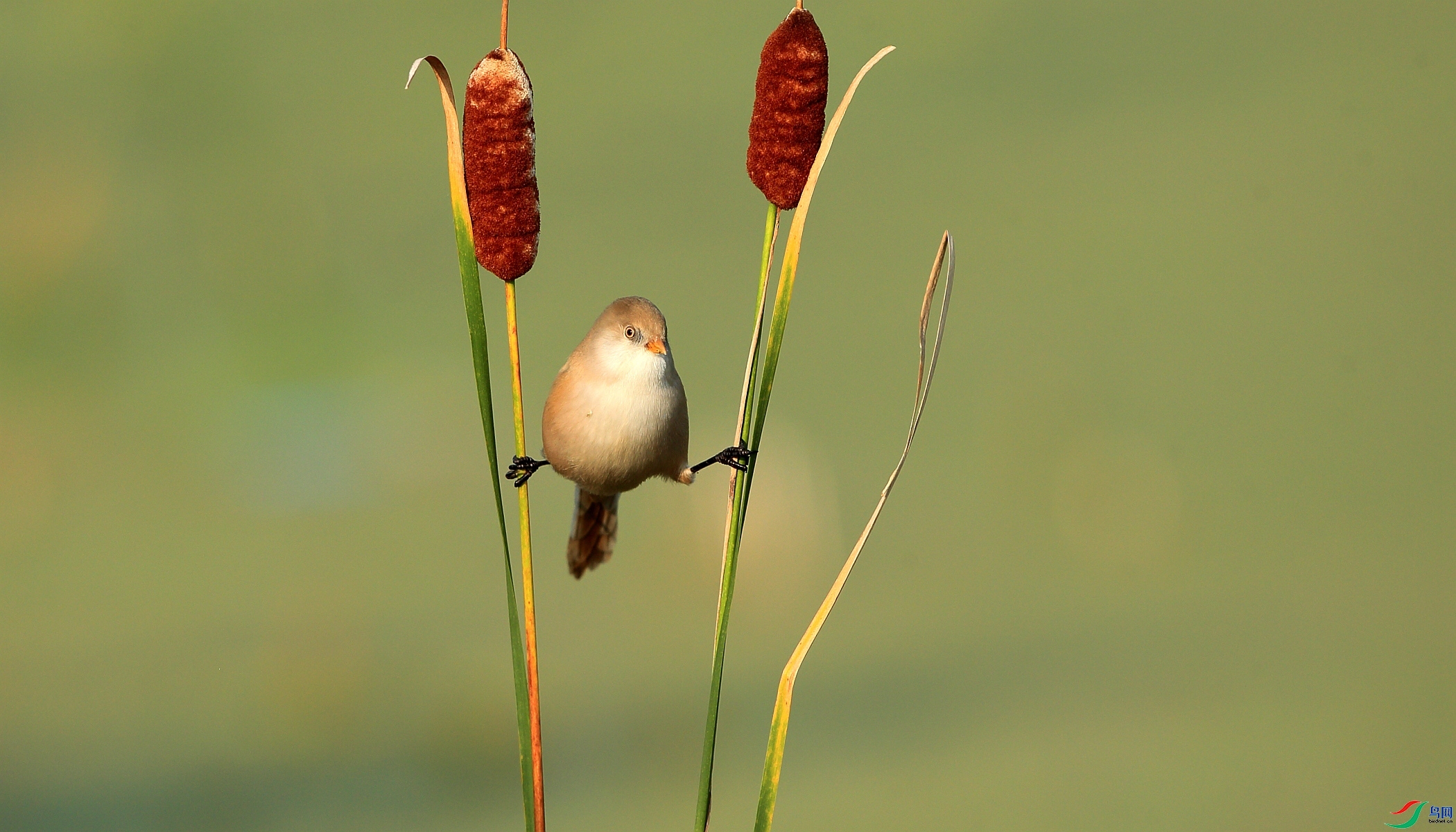 20231218�����ա���ǲ �������.jpg