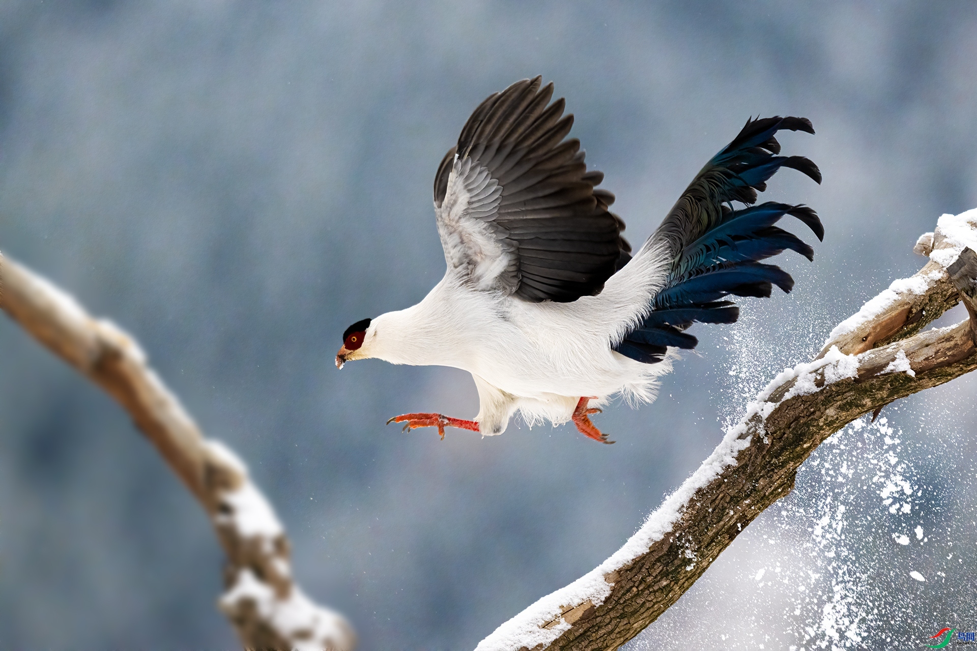 20231221������������Ƥ���� ��������.jpg