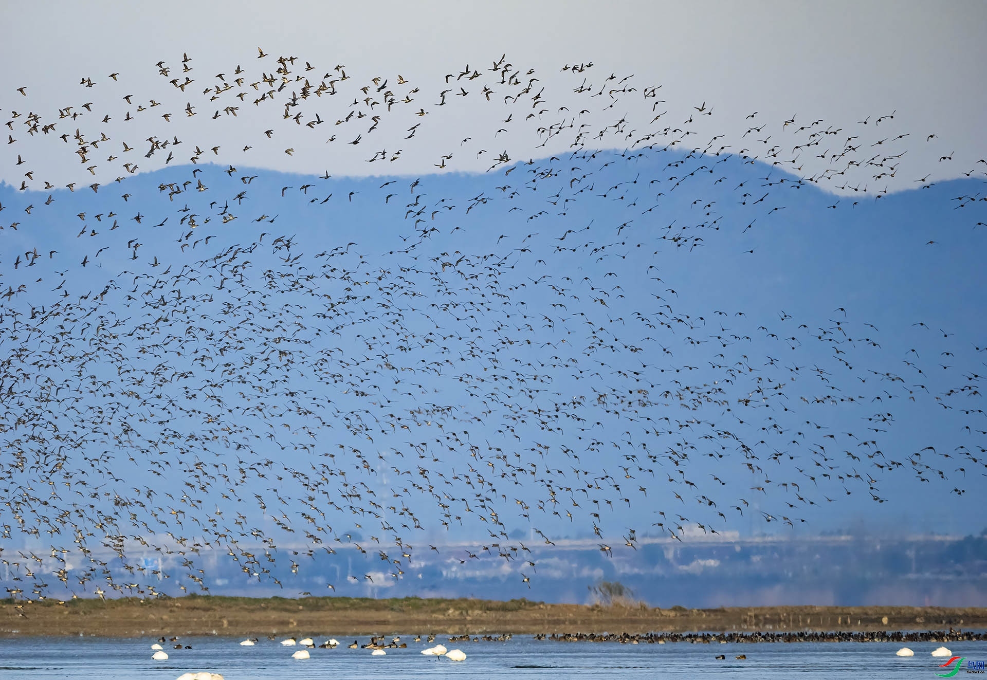 20231222��ʯ�ʺ����ˡ���LUNBO ��Ա���� .jpg