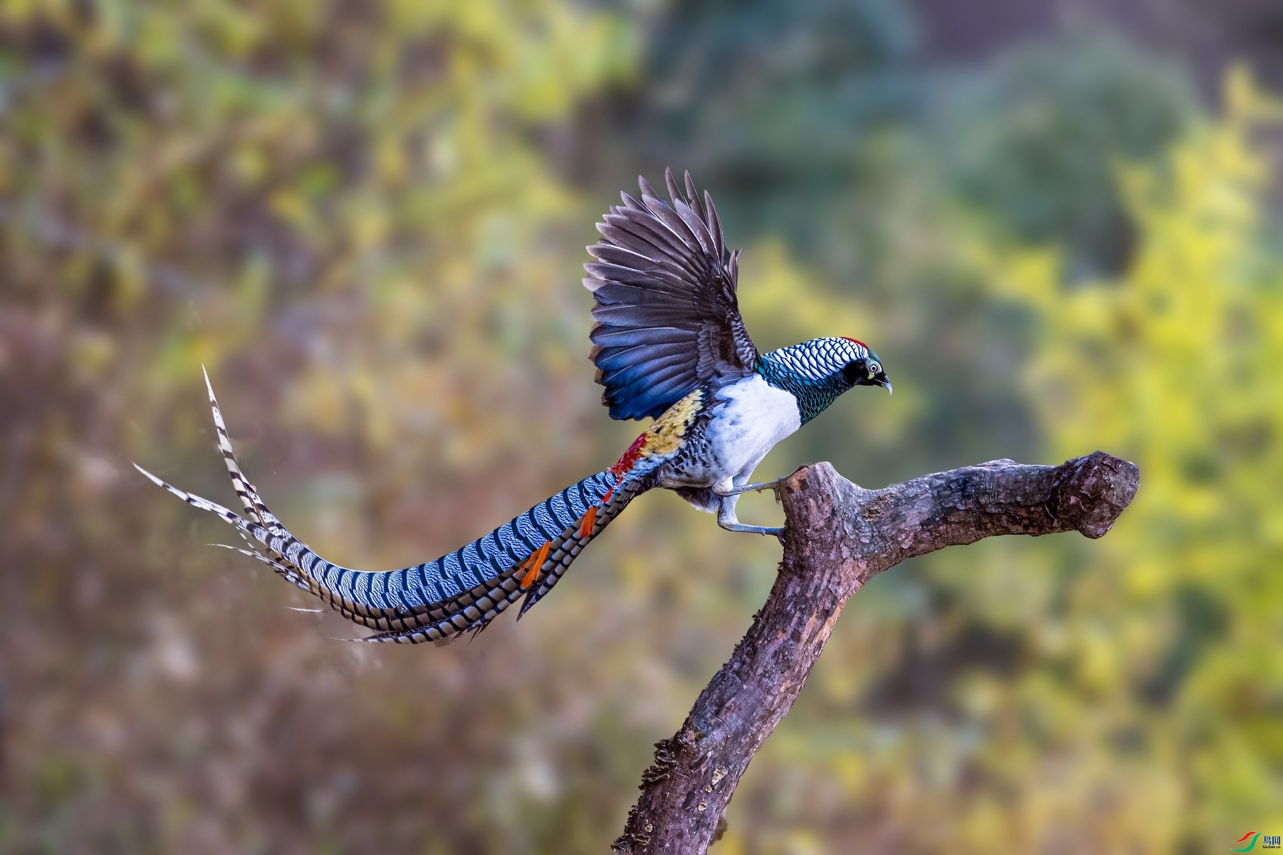 20231223���׸���������Ƥ���� ��������.jpg