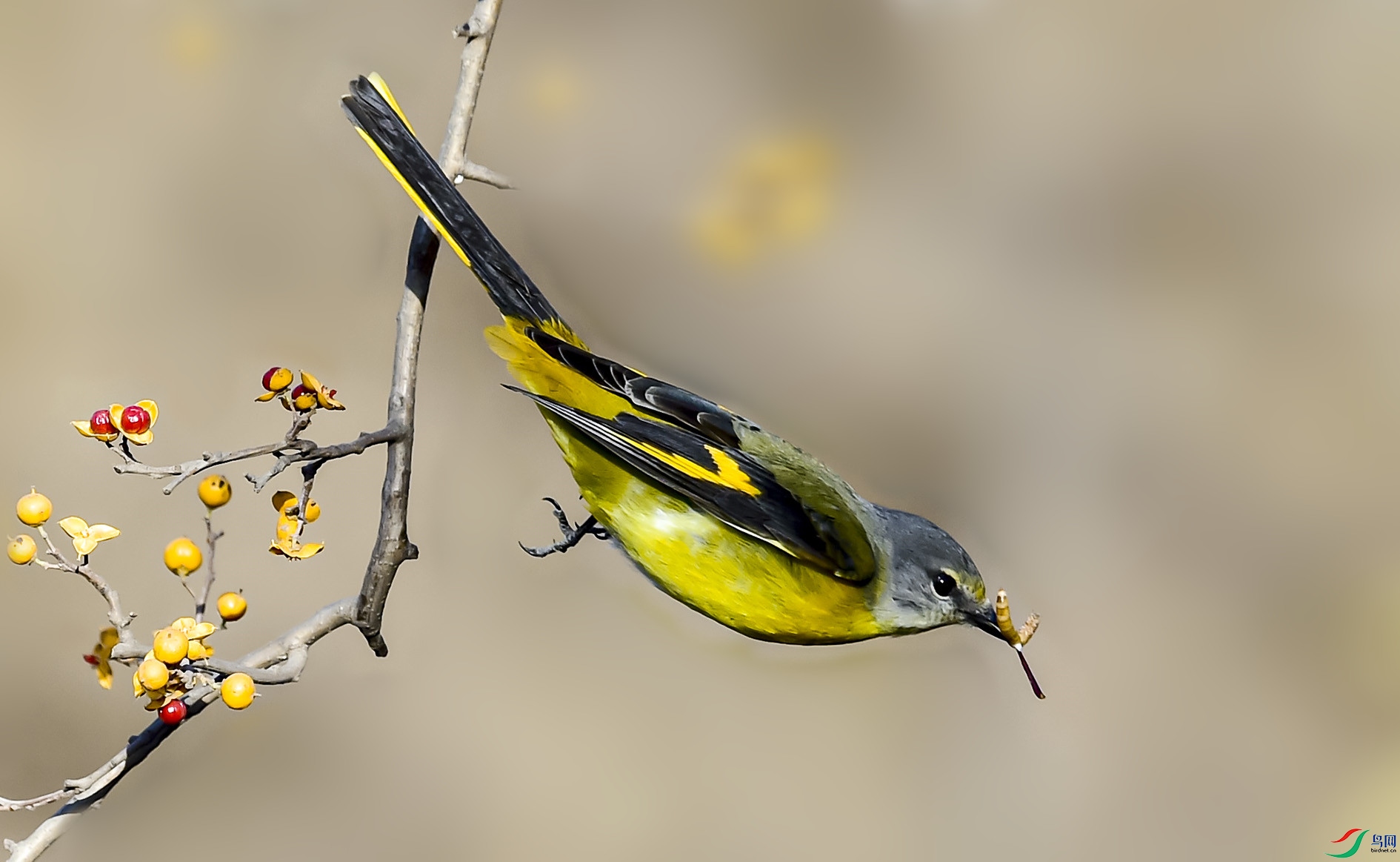 _DSC4967_����_����.jpg