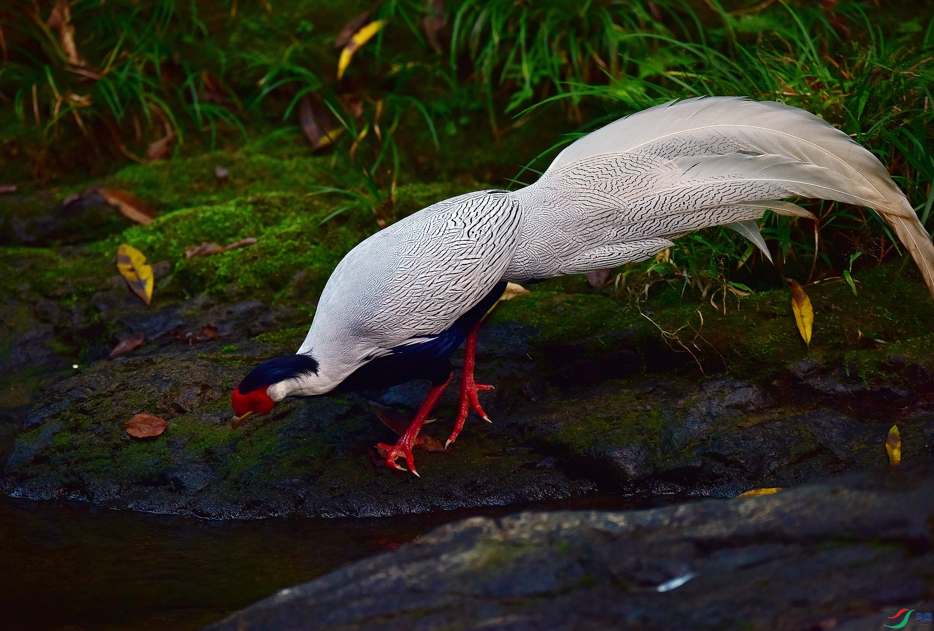 D8I_9850.jpg