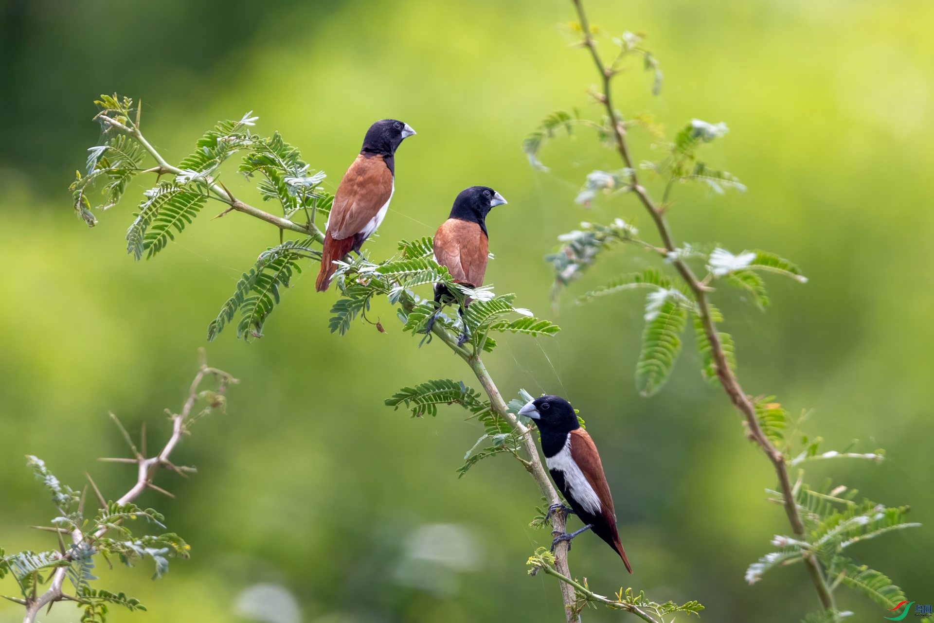 526A0628-topaz-denoise.jpg