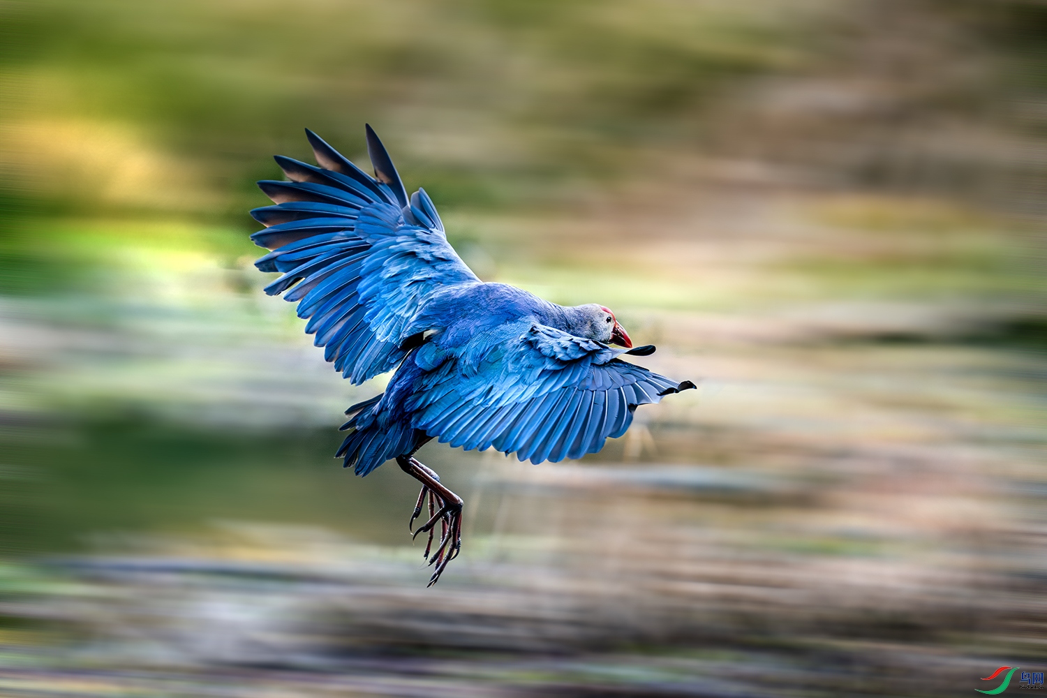 LZW06657-����ǿ-NR ����.jpg