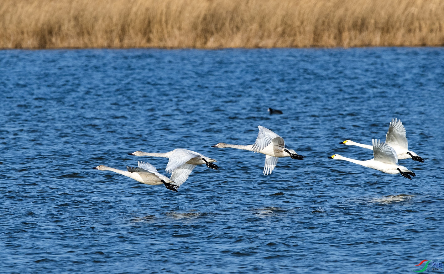_DSC9077.jpg