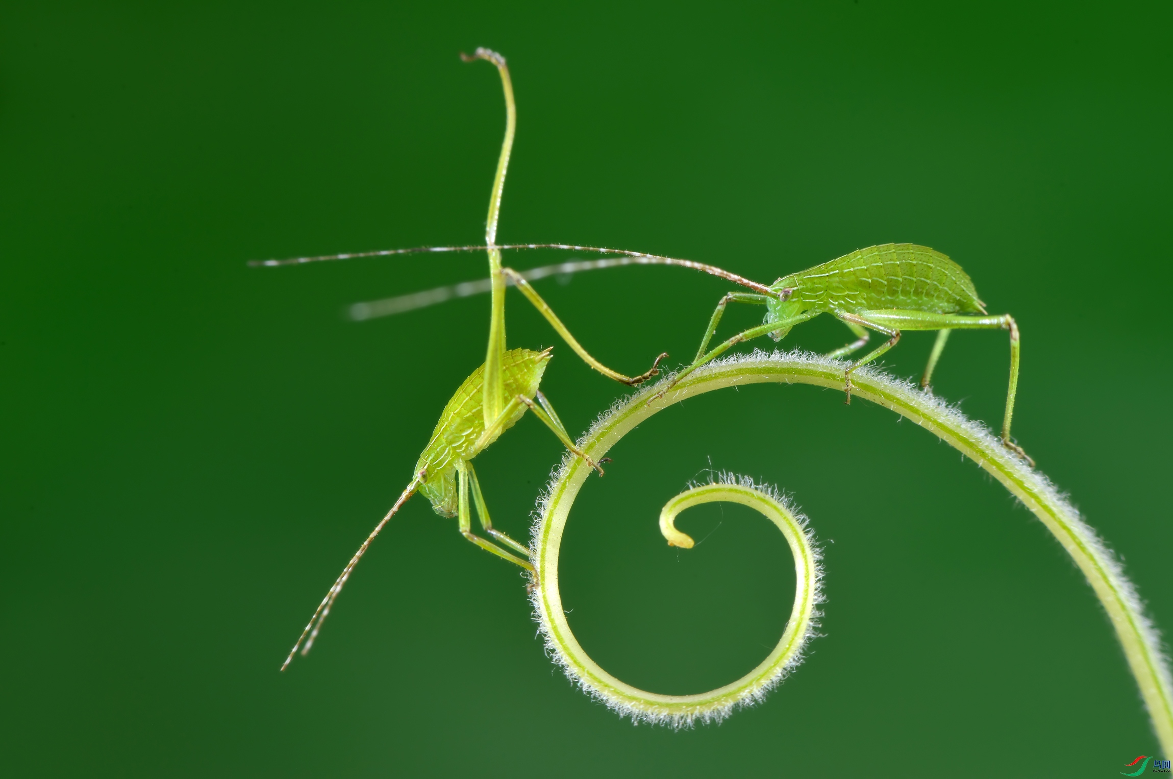 DSC_7101 ����.jpg