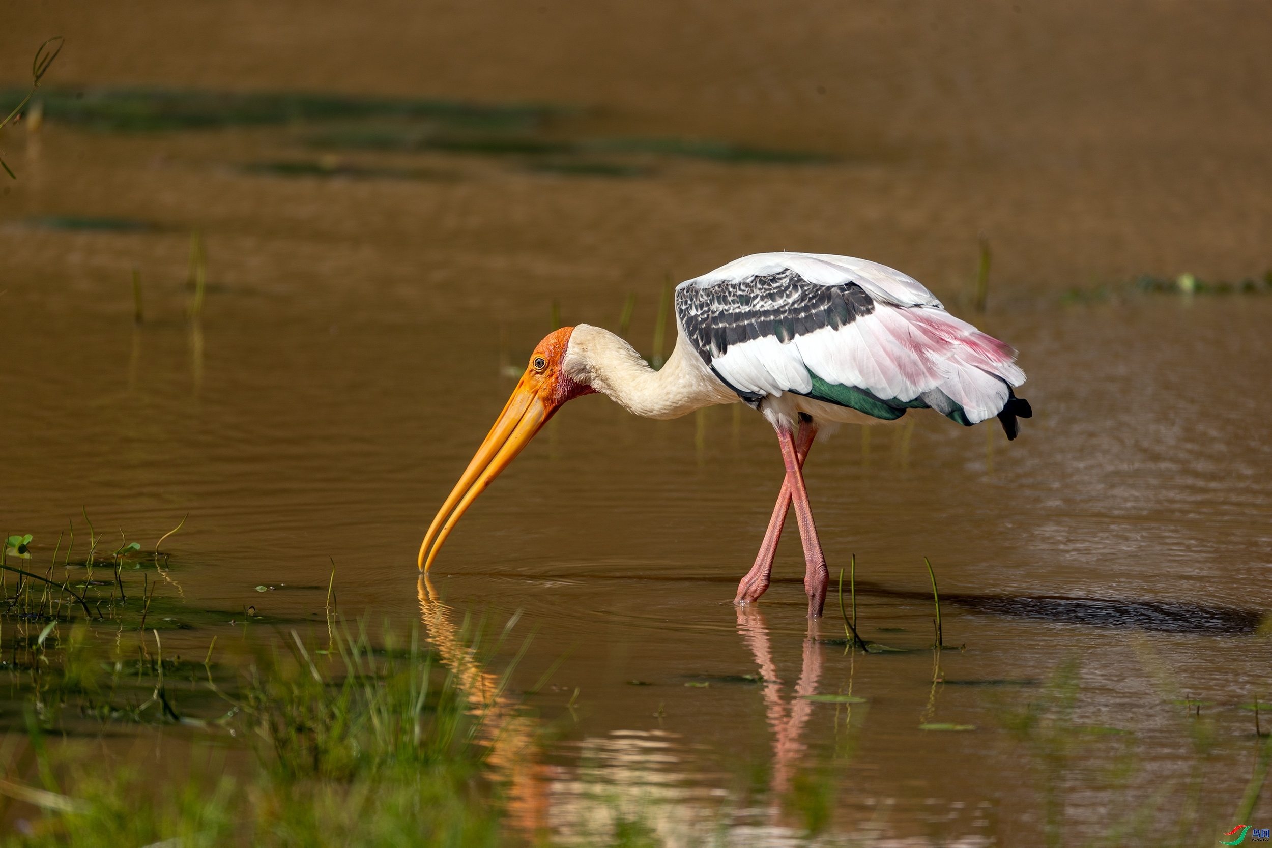 ����  ����  ����.jpeg