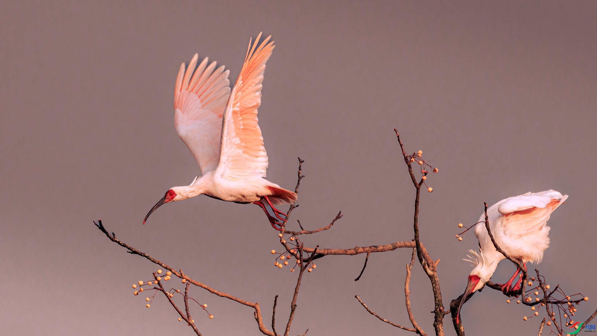 ���q ���� ��ͥ�Ų�yes ����.jpg