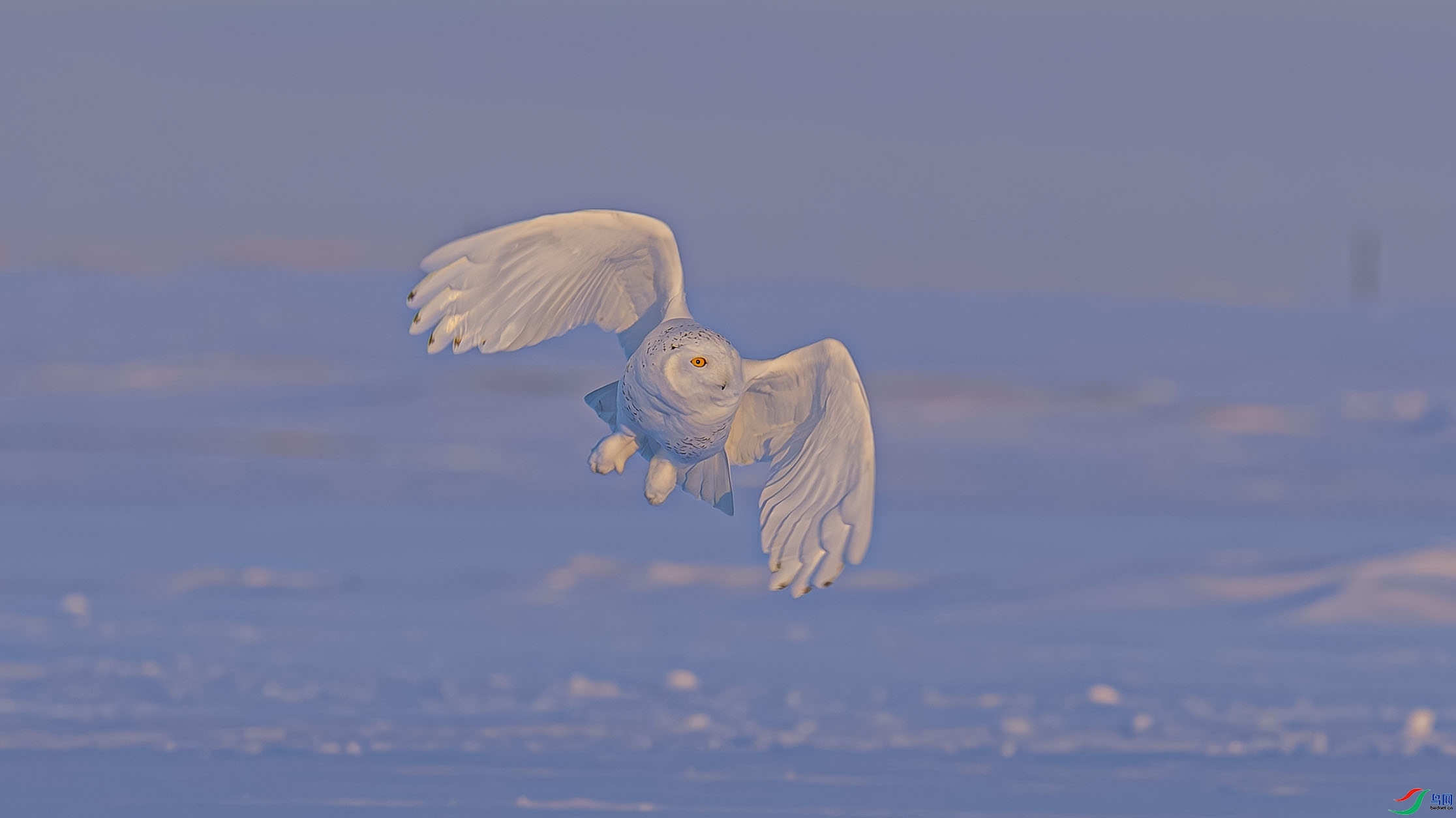 ѩ�^����  ����  ����.jpg