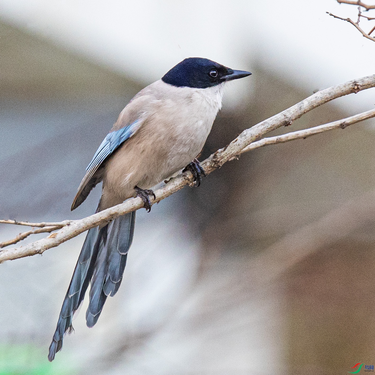 _90I8727 ����.jpg