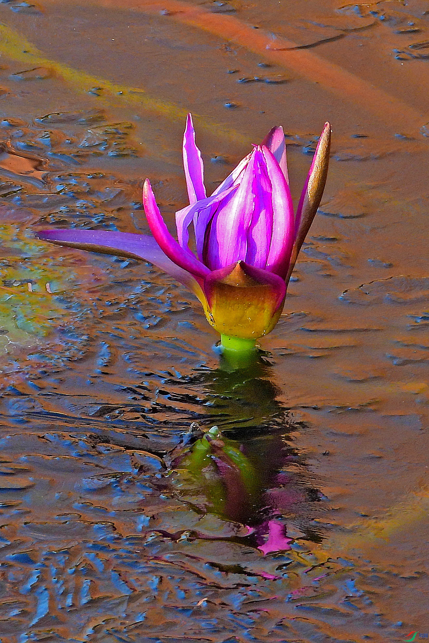DSCN1810.JPG