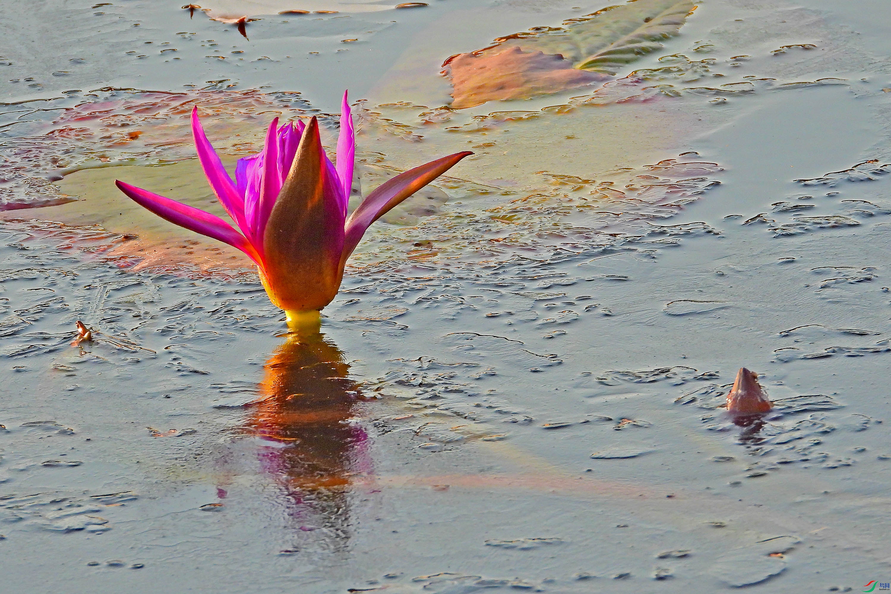 DSCN1808.JPG
