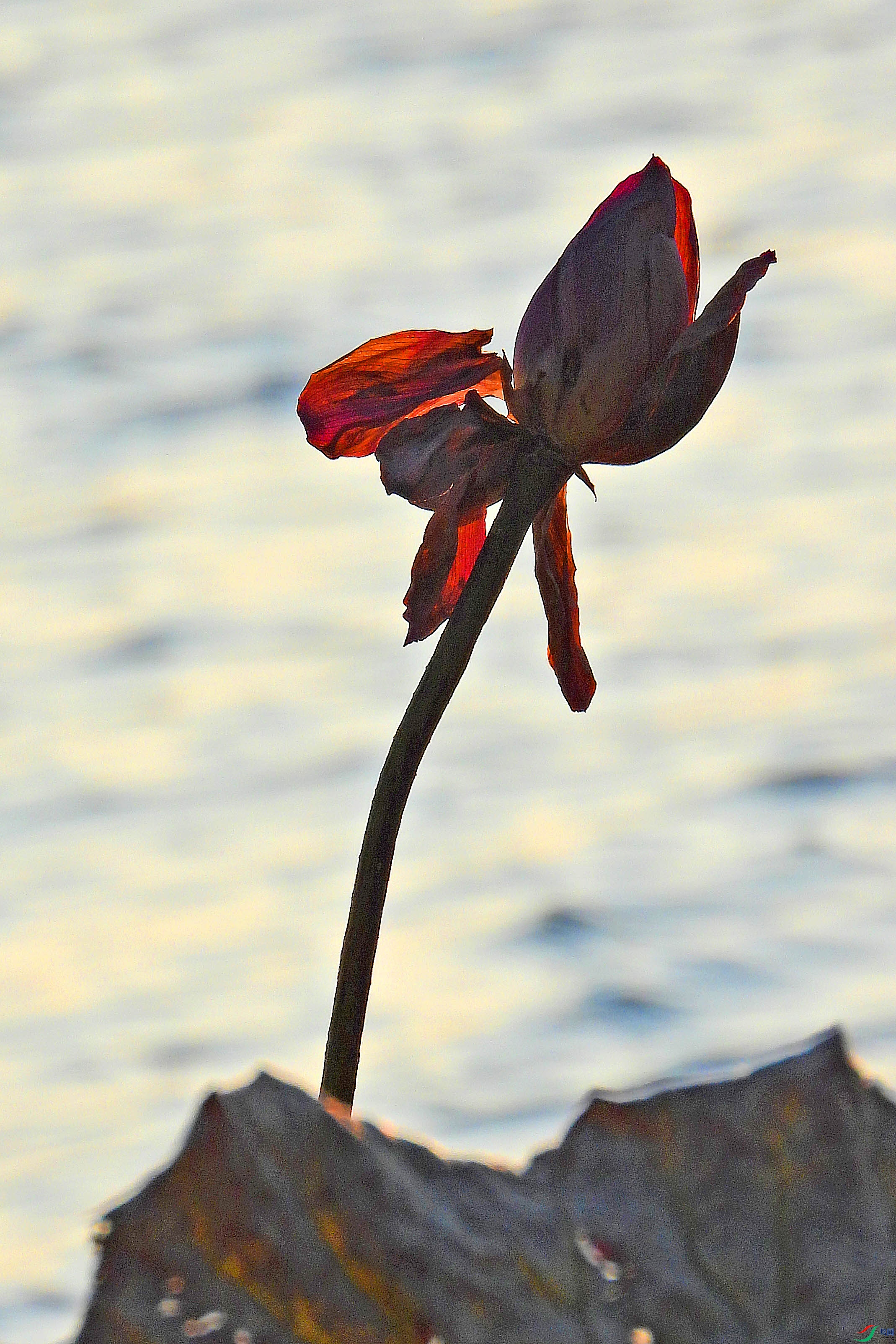 DSCN1819.JPG