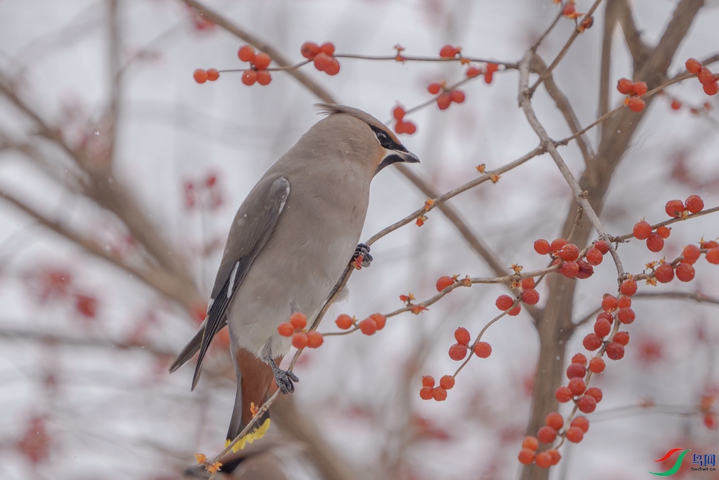 DSC027022 ����.jpg