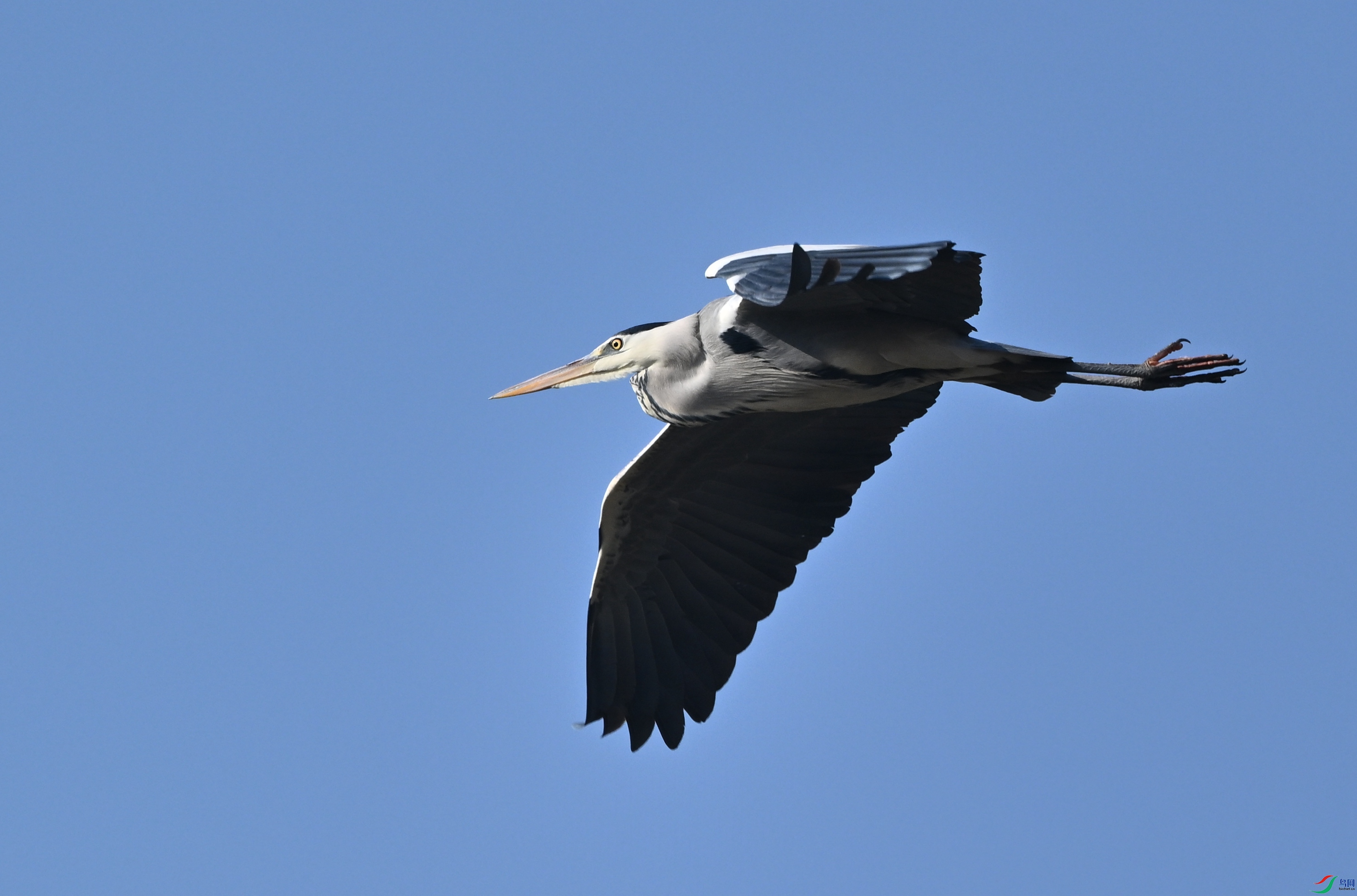 DSC_6774.JPG