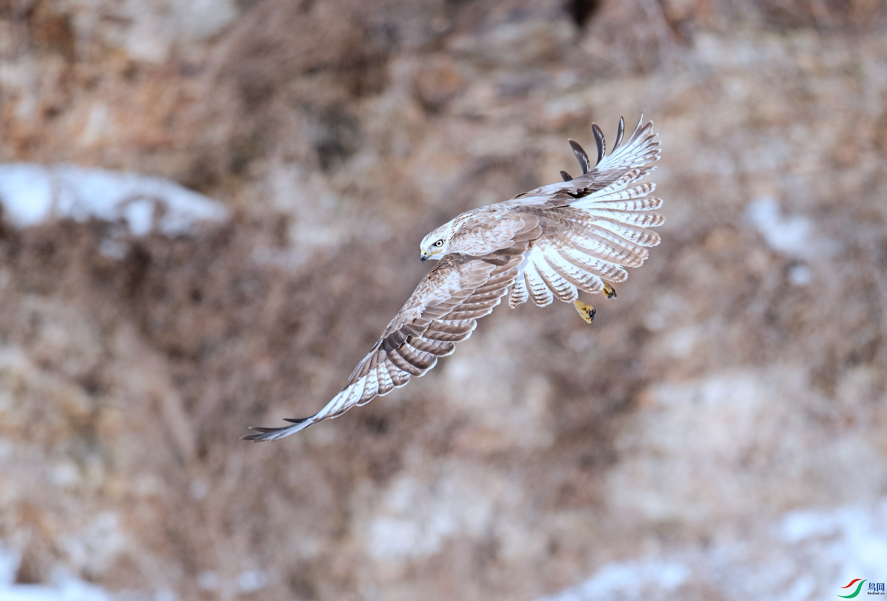 DSC_2650 ����_����.jpg