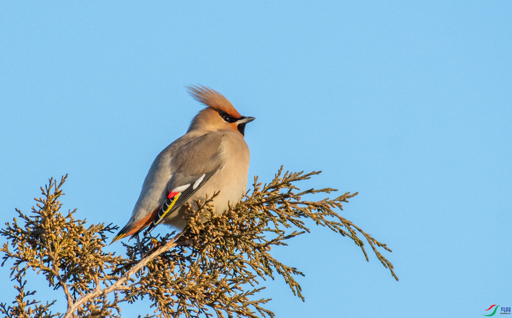 DSC_5025.jpg