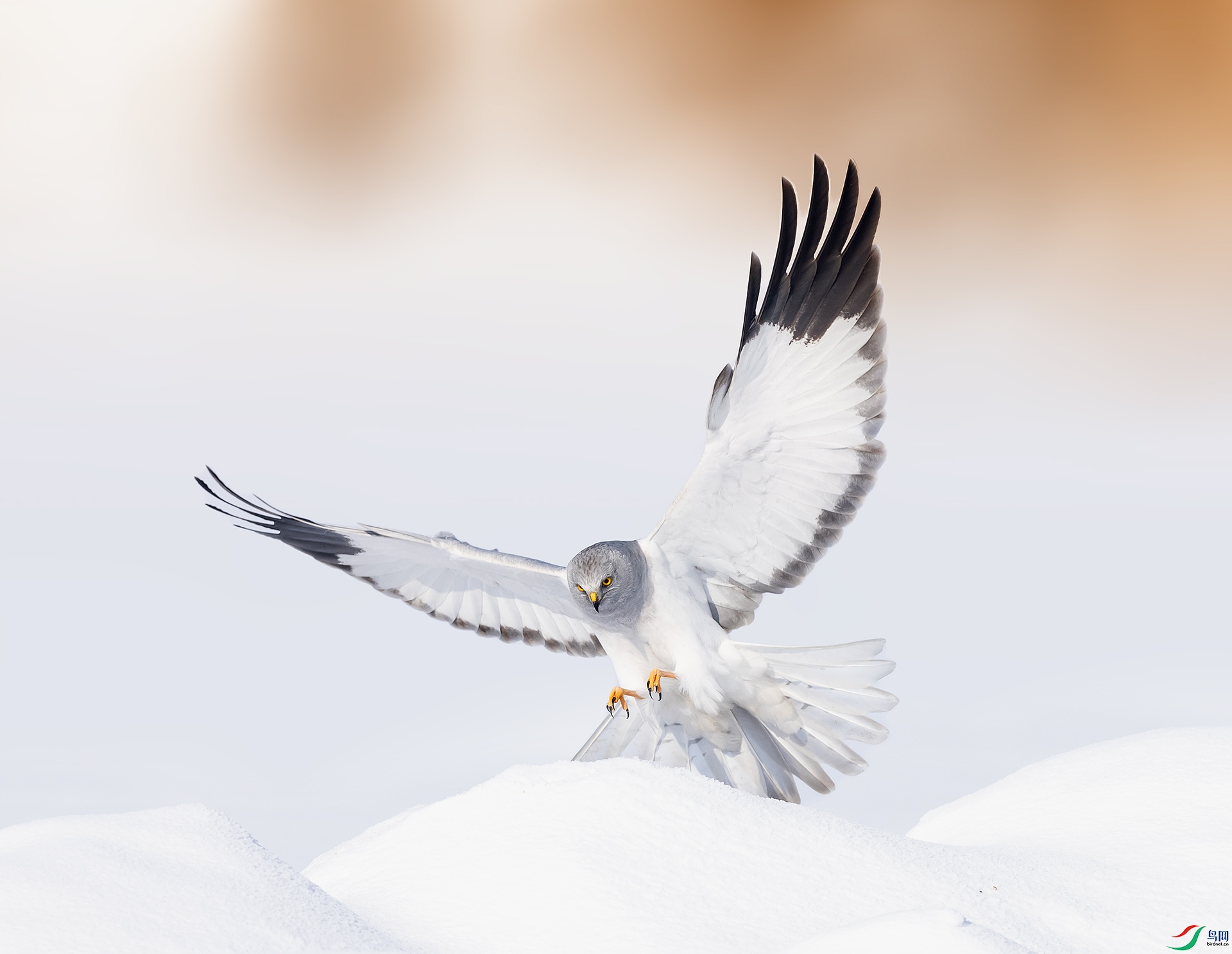 019A9622 ����.jpg