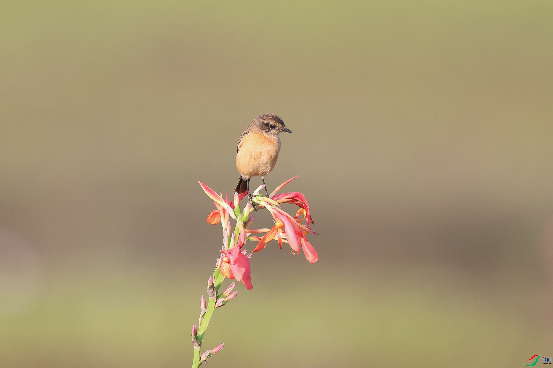 1M6A8350 ����_����.jpg