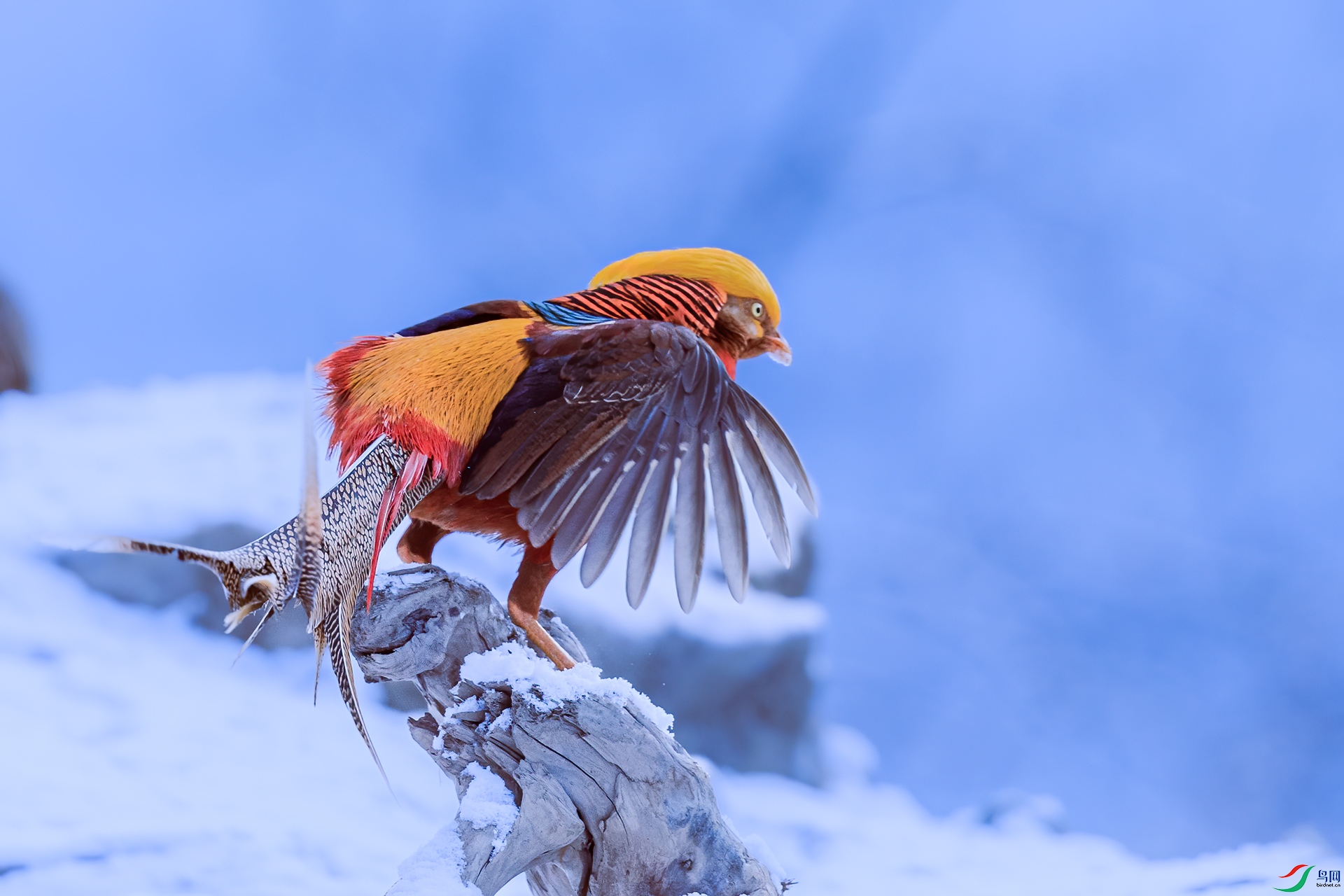 �츹����_J1R5351.jpg