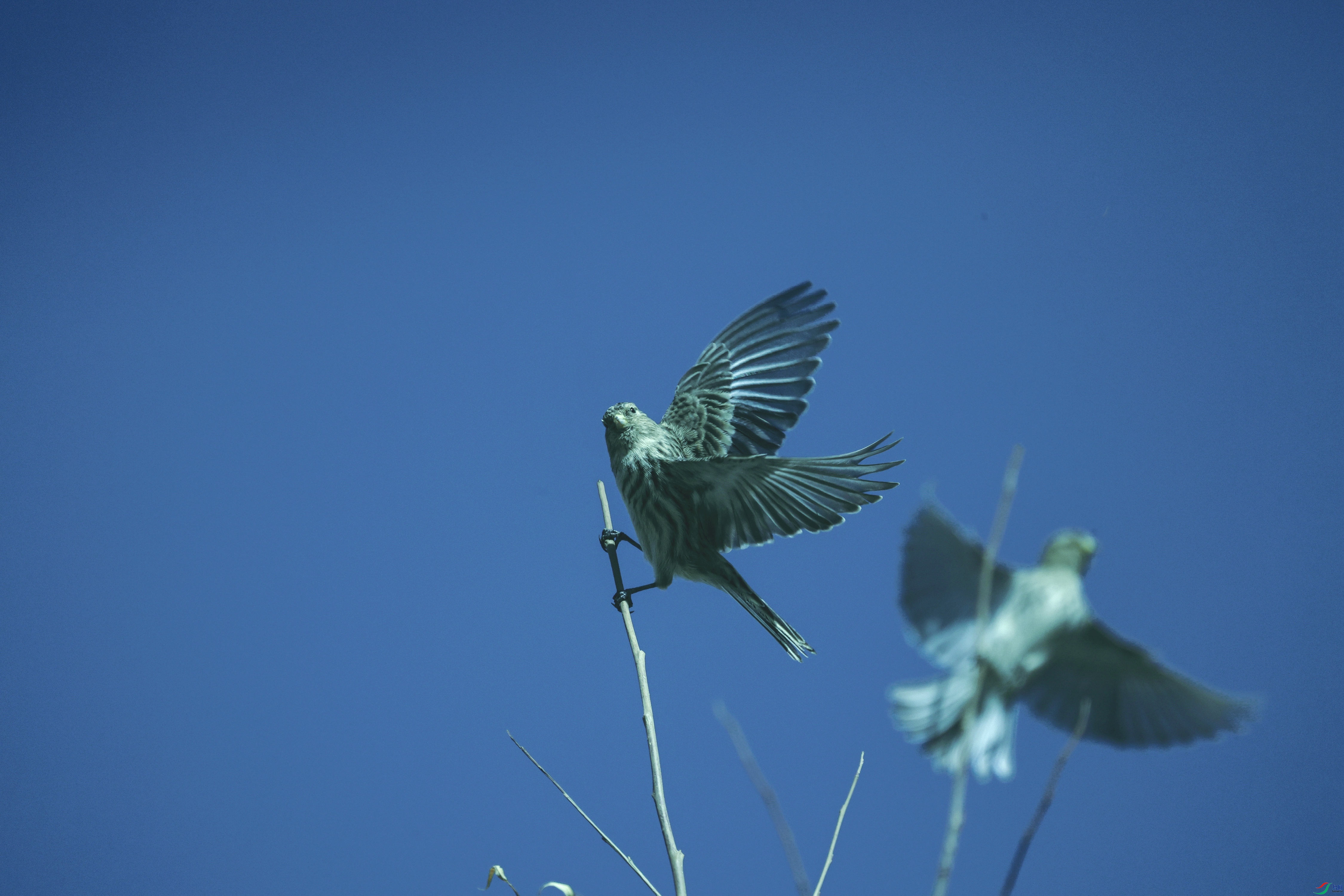 7X5A5802 - ����.JPG