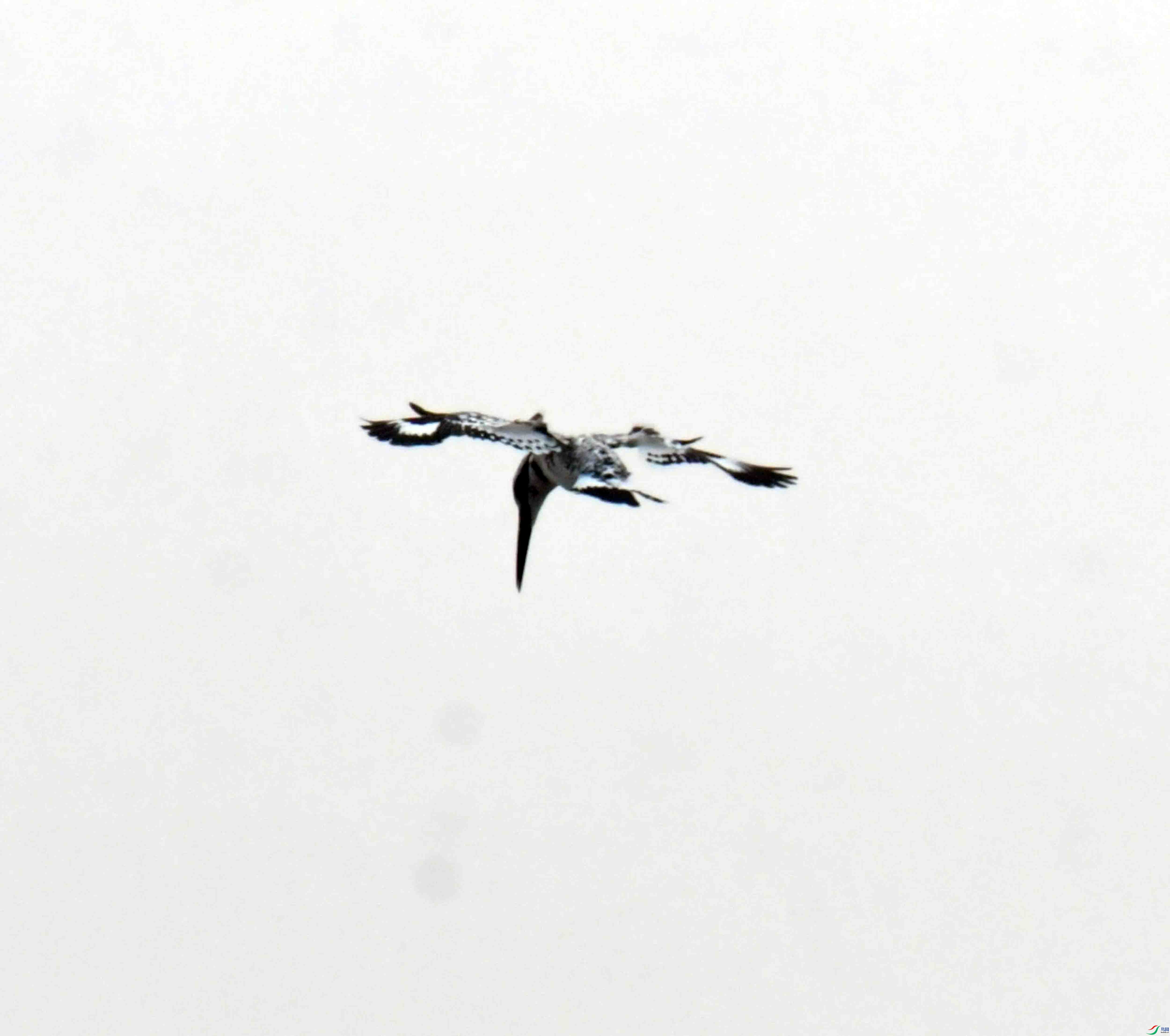 DSC_8272.JPG