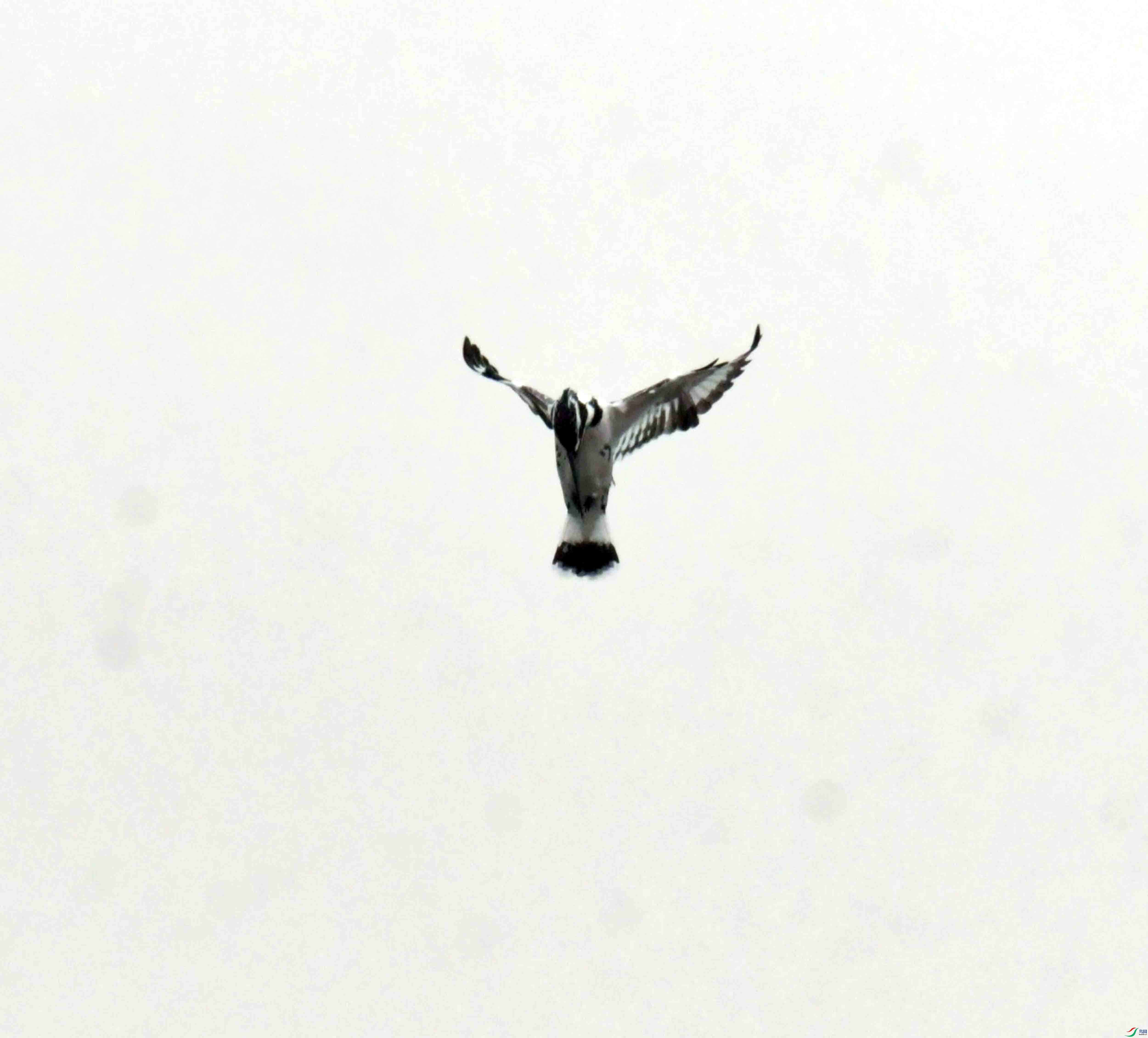 DSC_8277.JPG