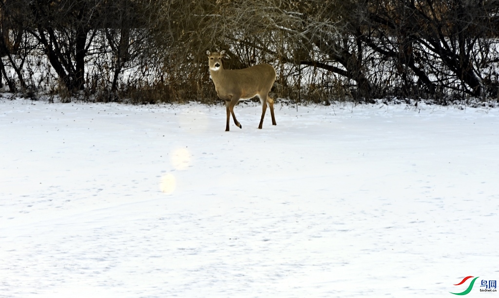 _DSC0164_����.jpg