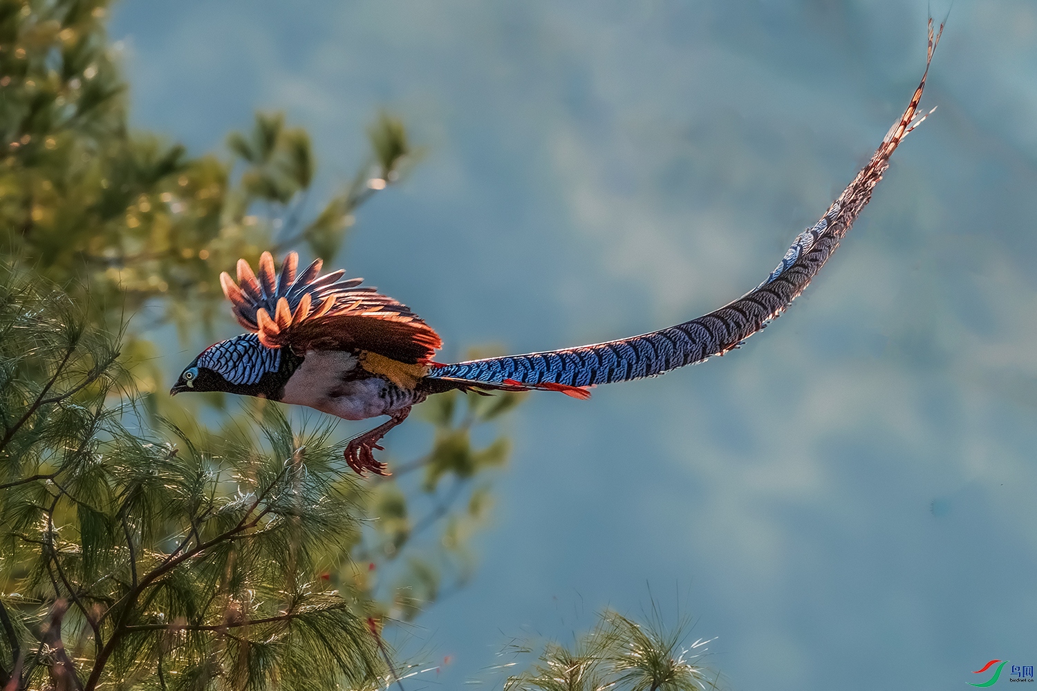 �׸�����----����ڷ�