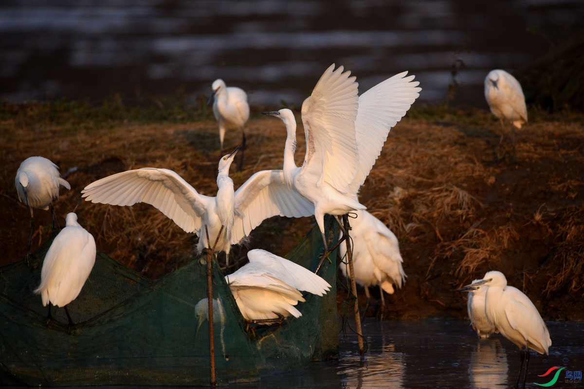 DSC_9358.JPG