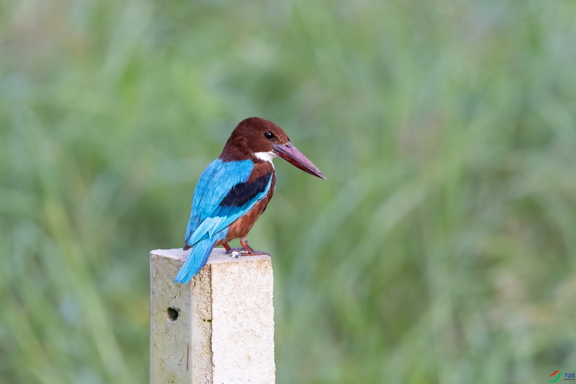 526A0782-topaz-denoise.jpg