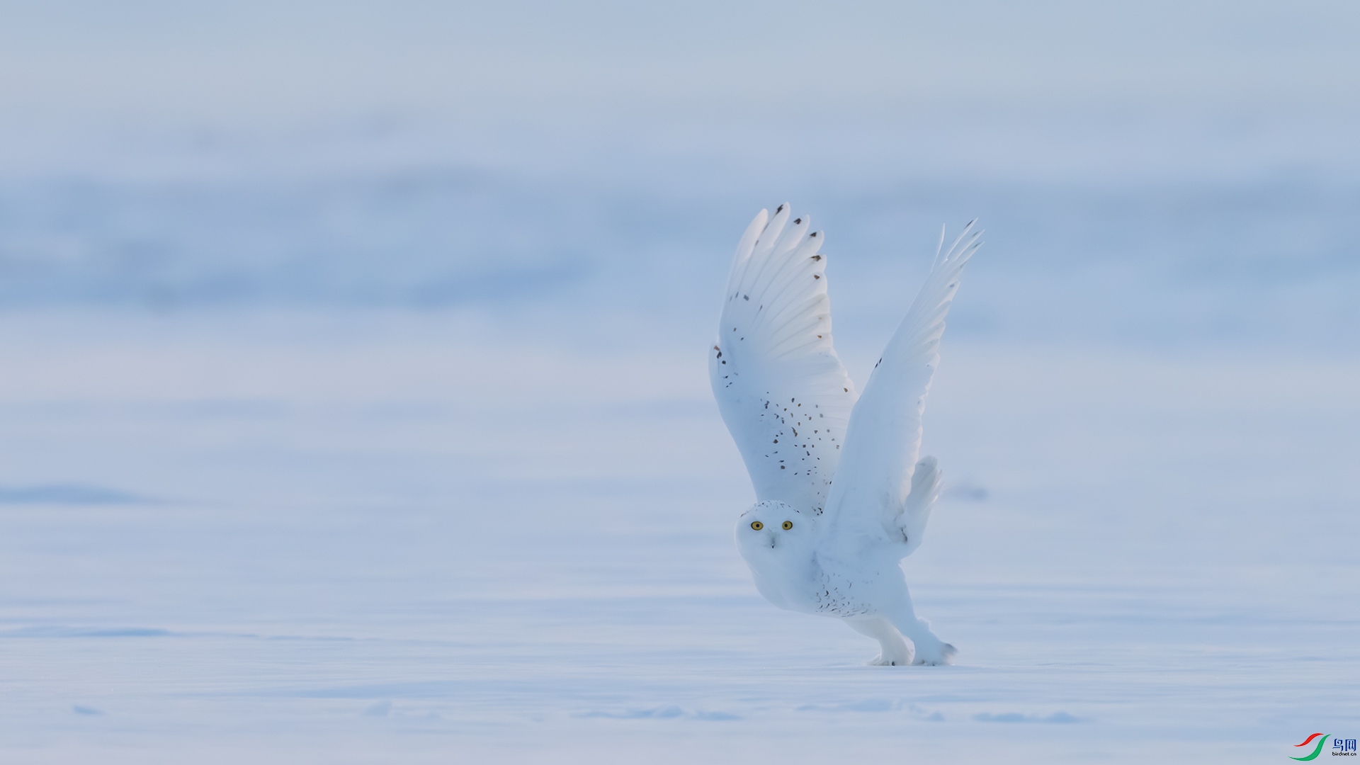 �ļ��� ��� ������ͷ.jpg