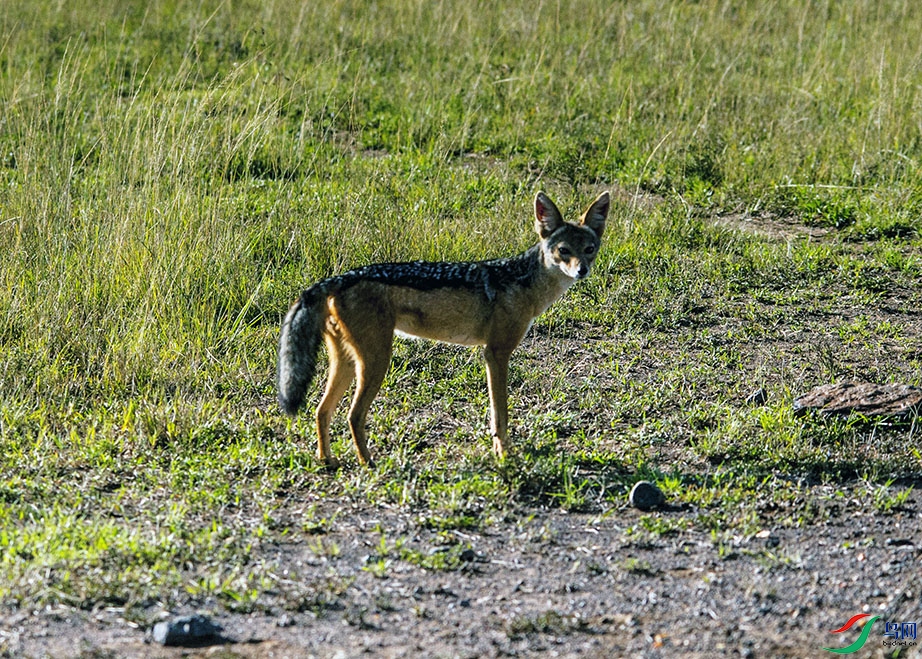 DSC_4183.jpg