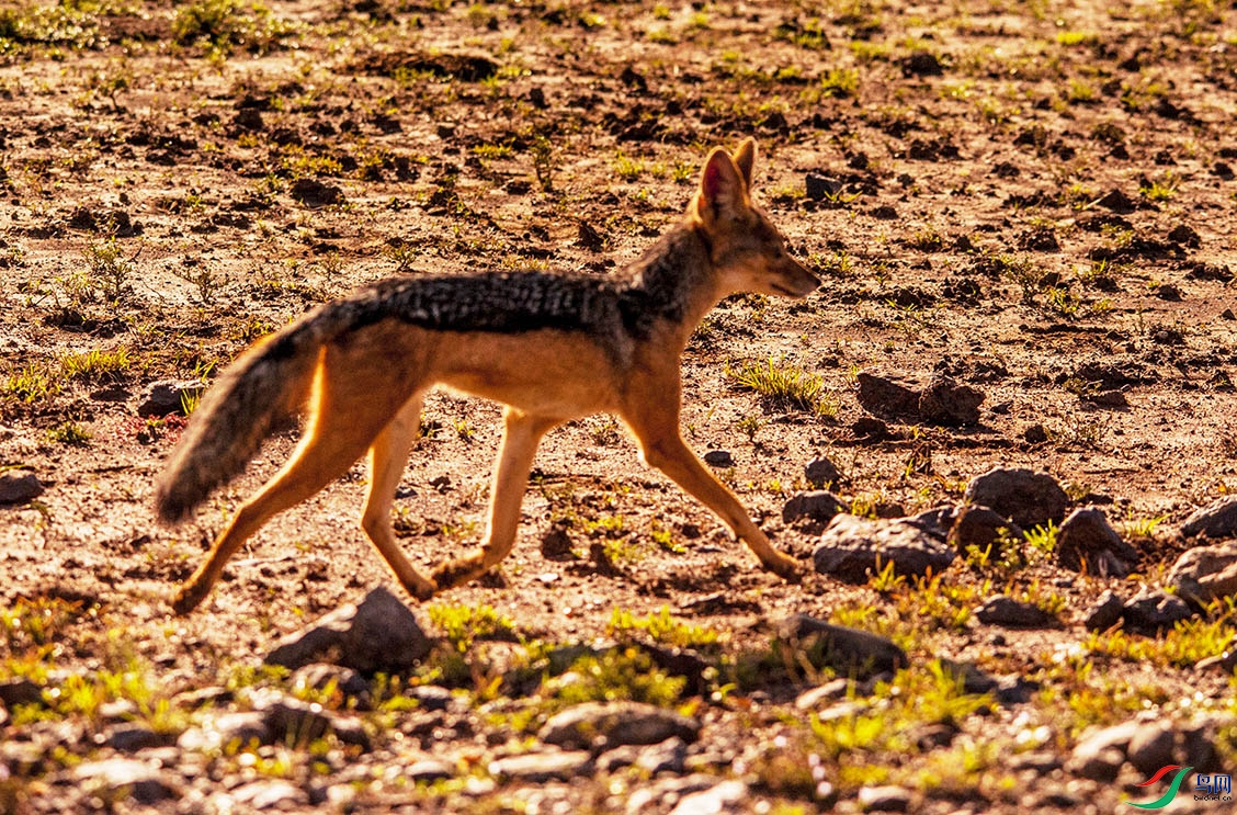 DSC_4186.jpg