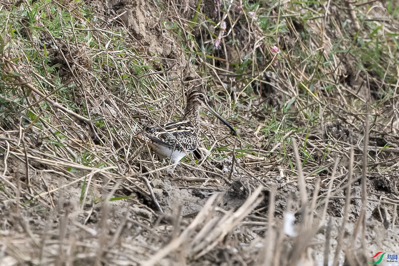 DSC_6221.jpg