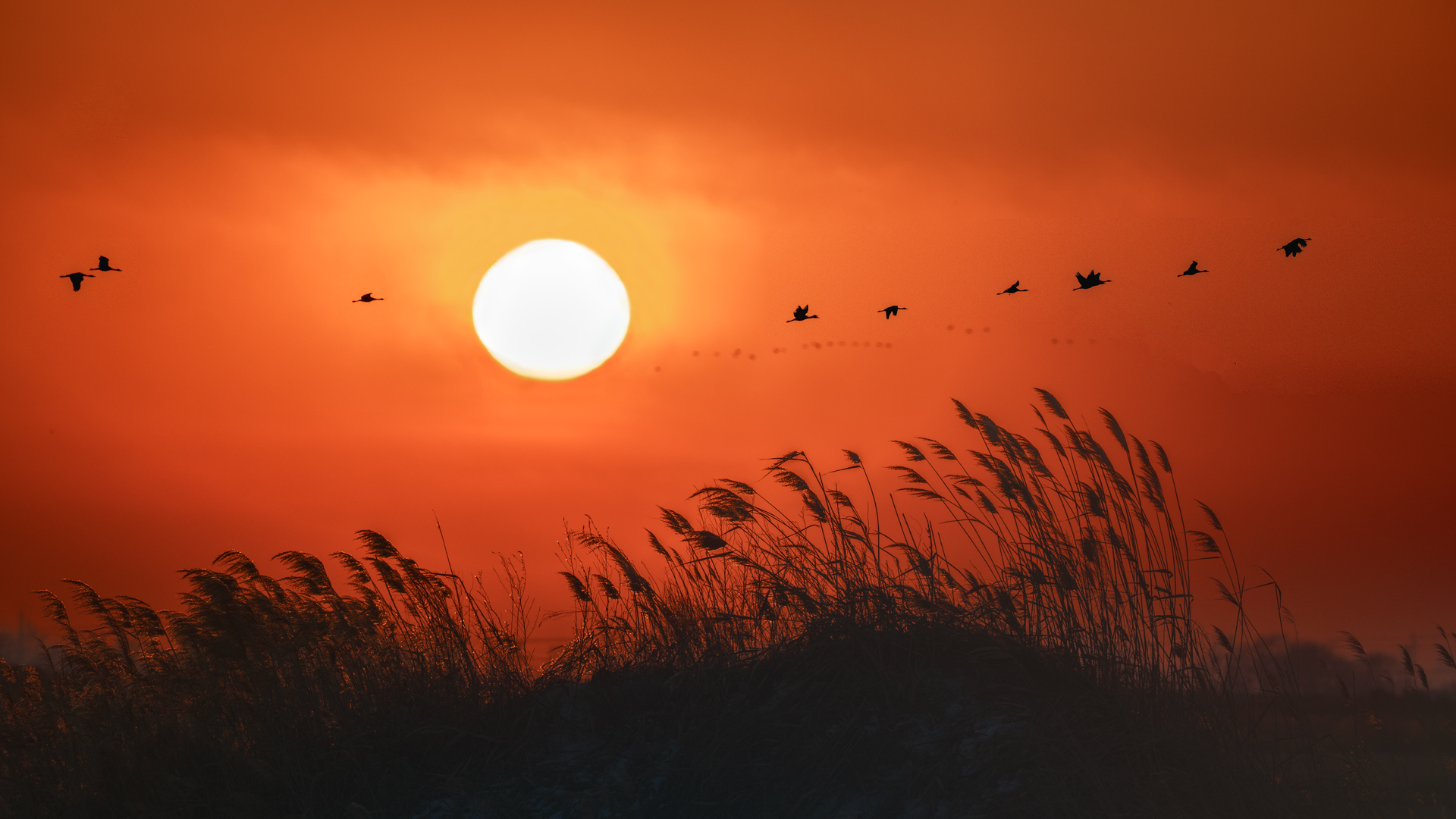 ��ĺ�顷  ��־����.jpg