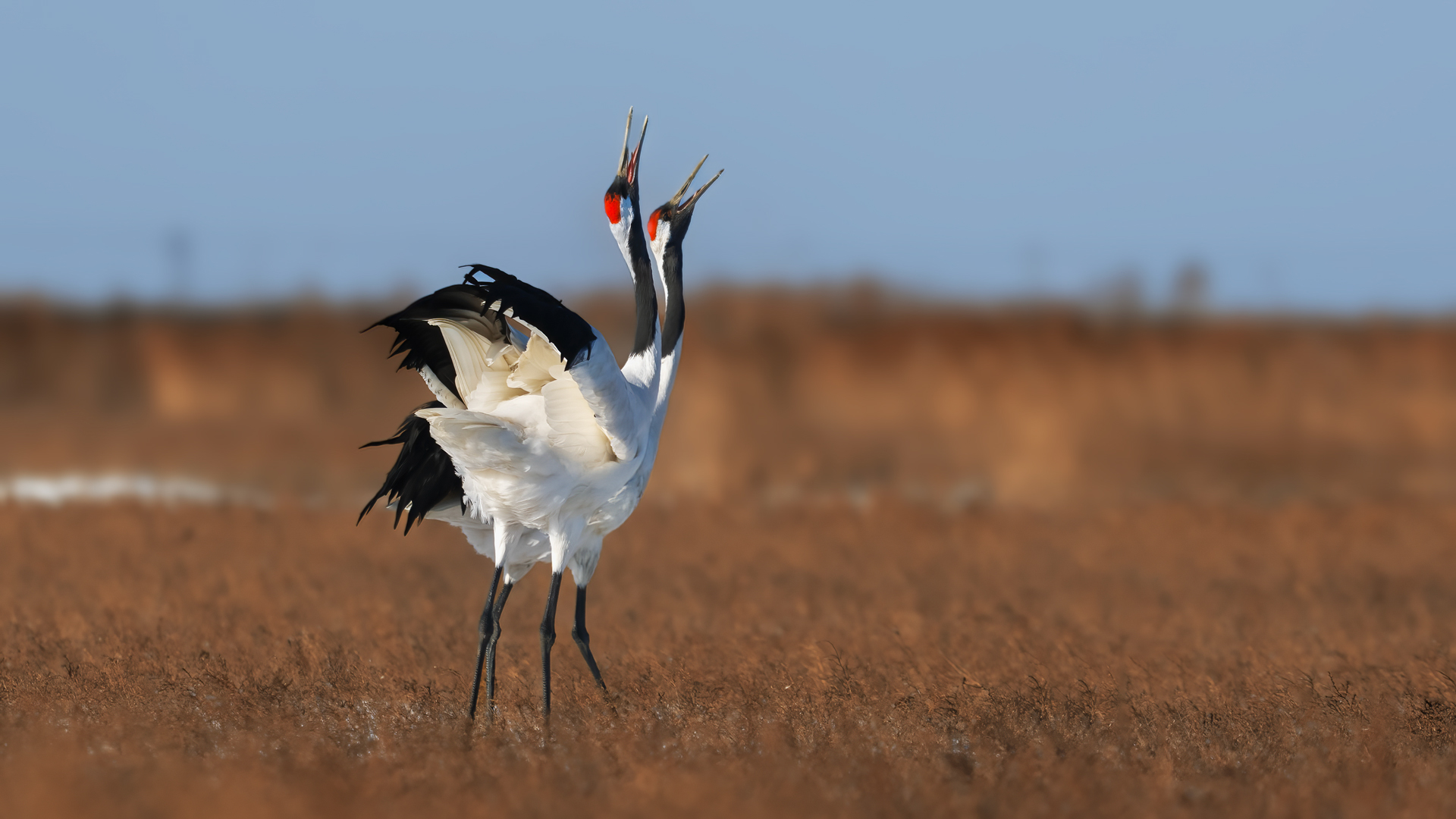 ��������  ��־����.jpg