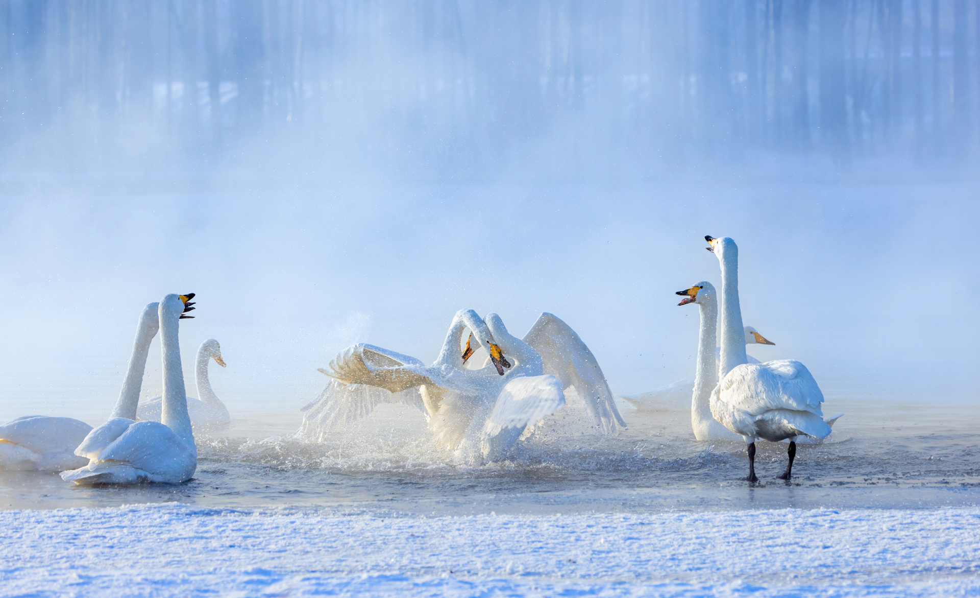 ��������  ����ʽ.jpg