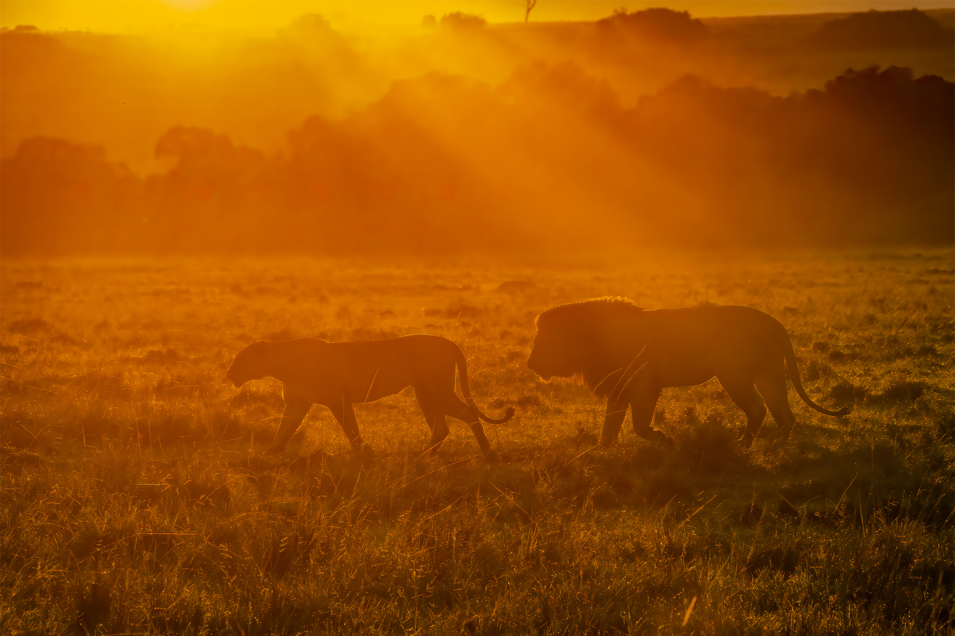 �����������ĳ�ϼ��  ����.jpg